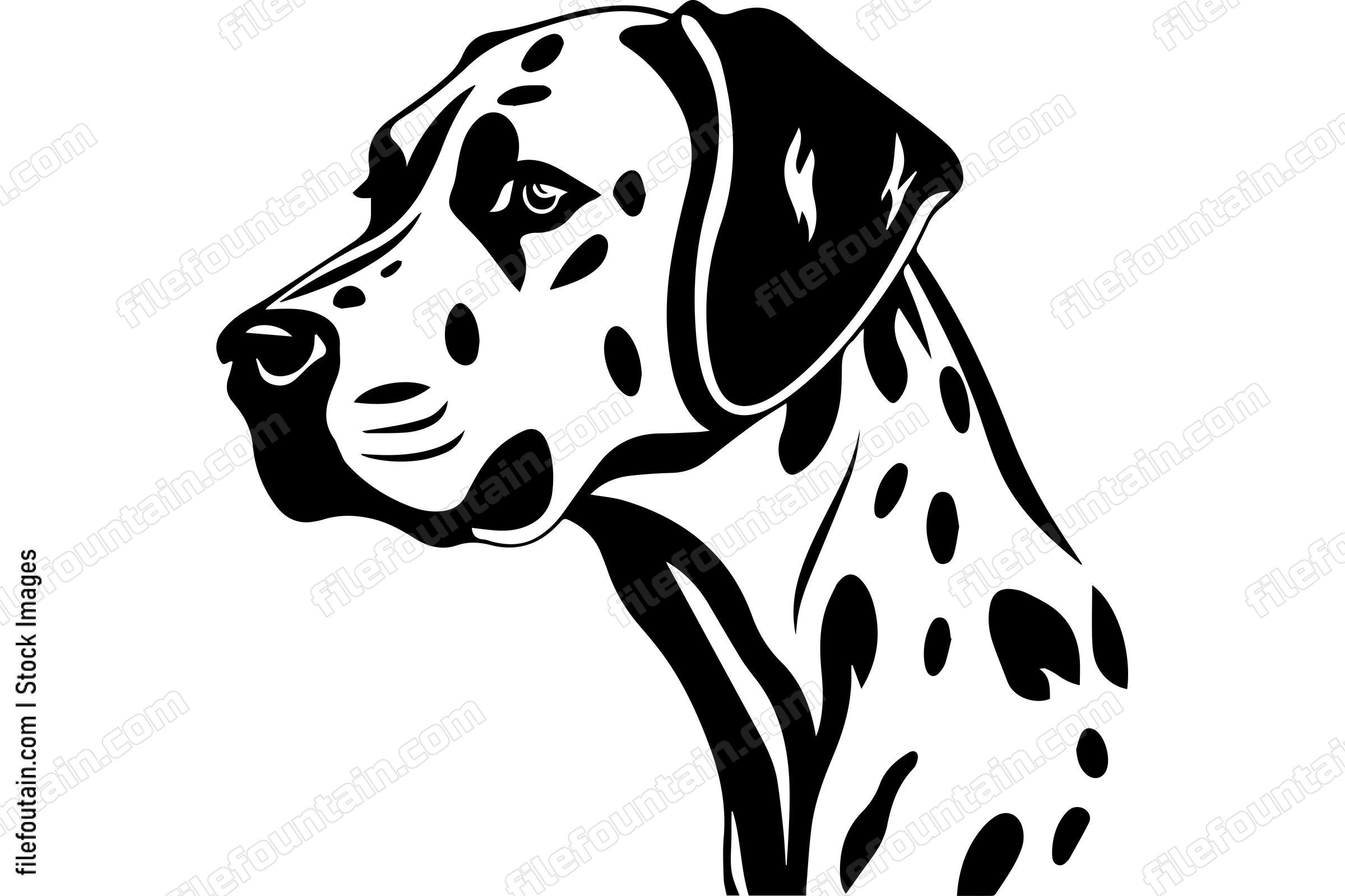 Dalmatian
