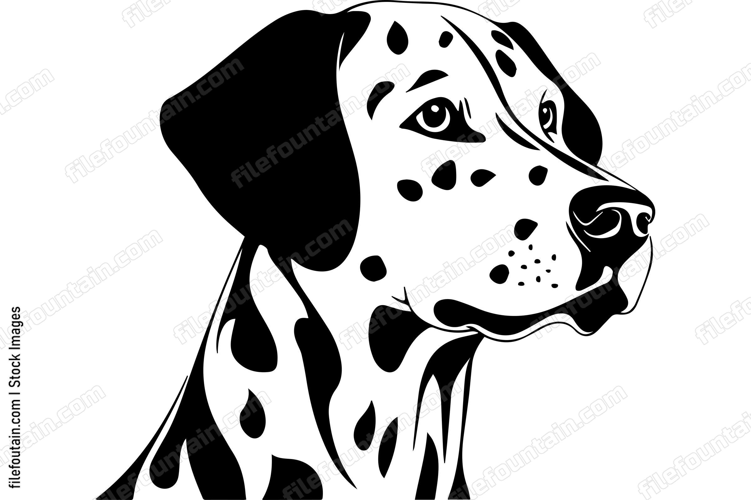 Dalmatian