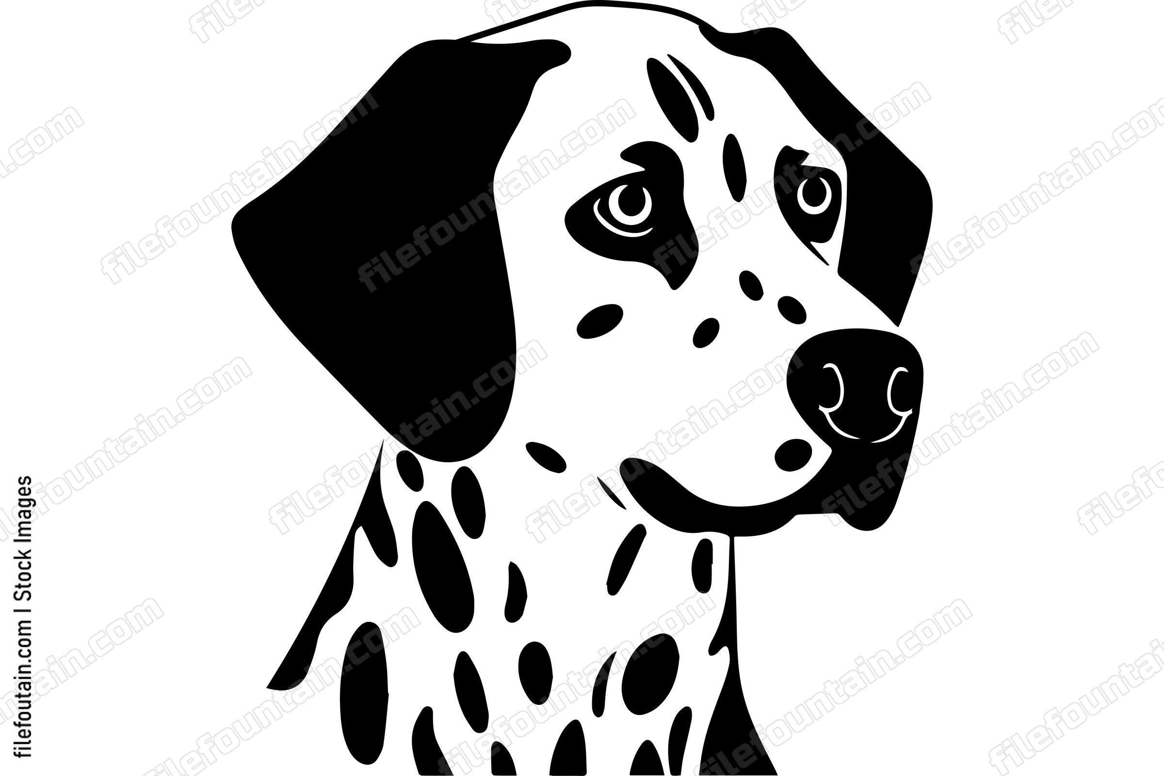 Dalmatian