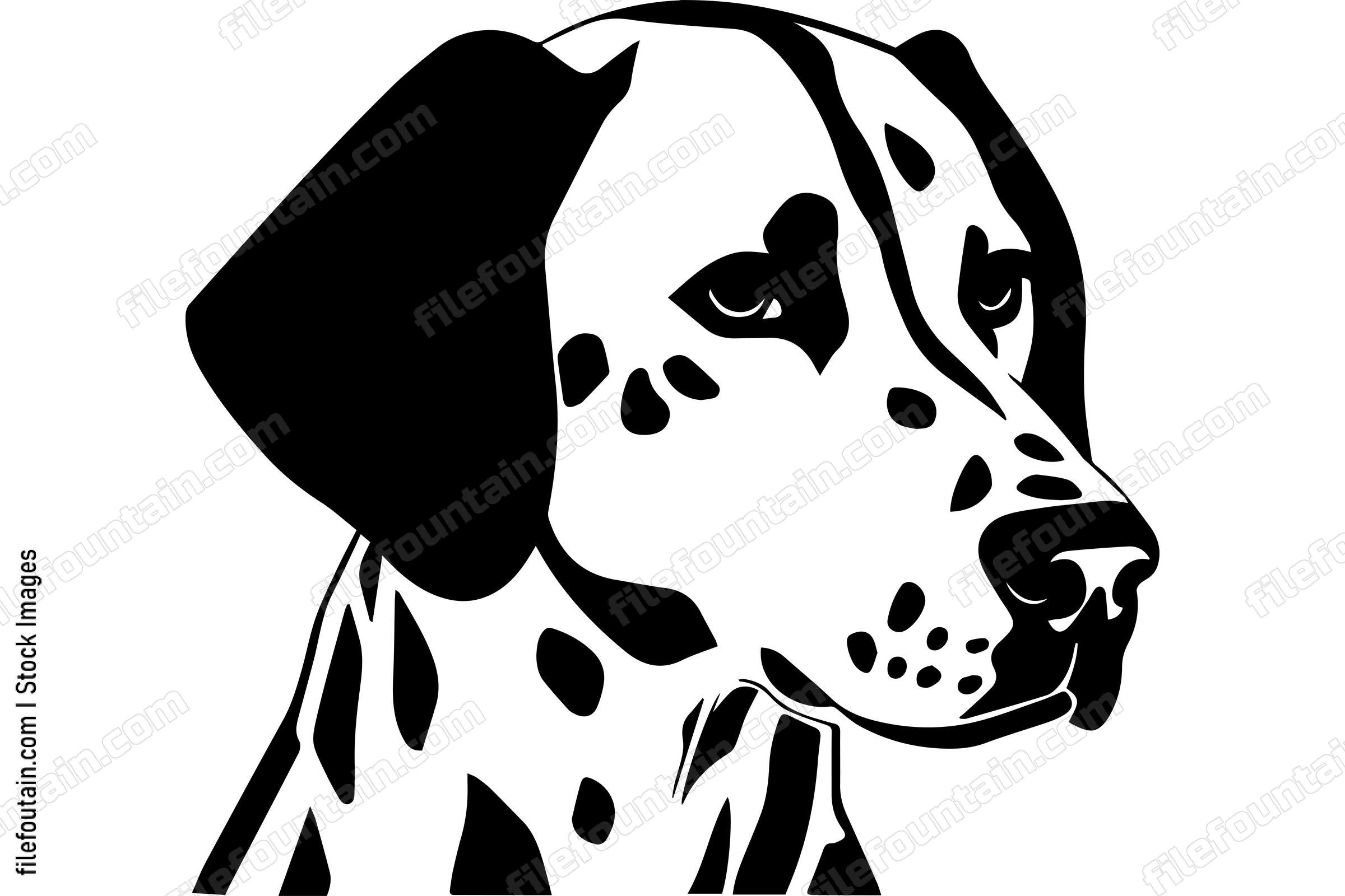 Dalmatian