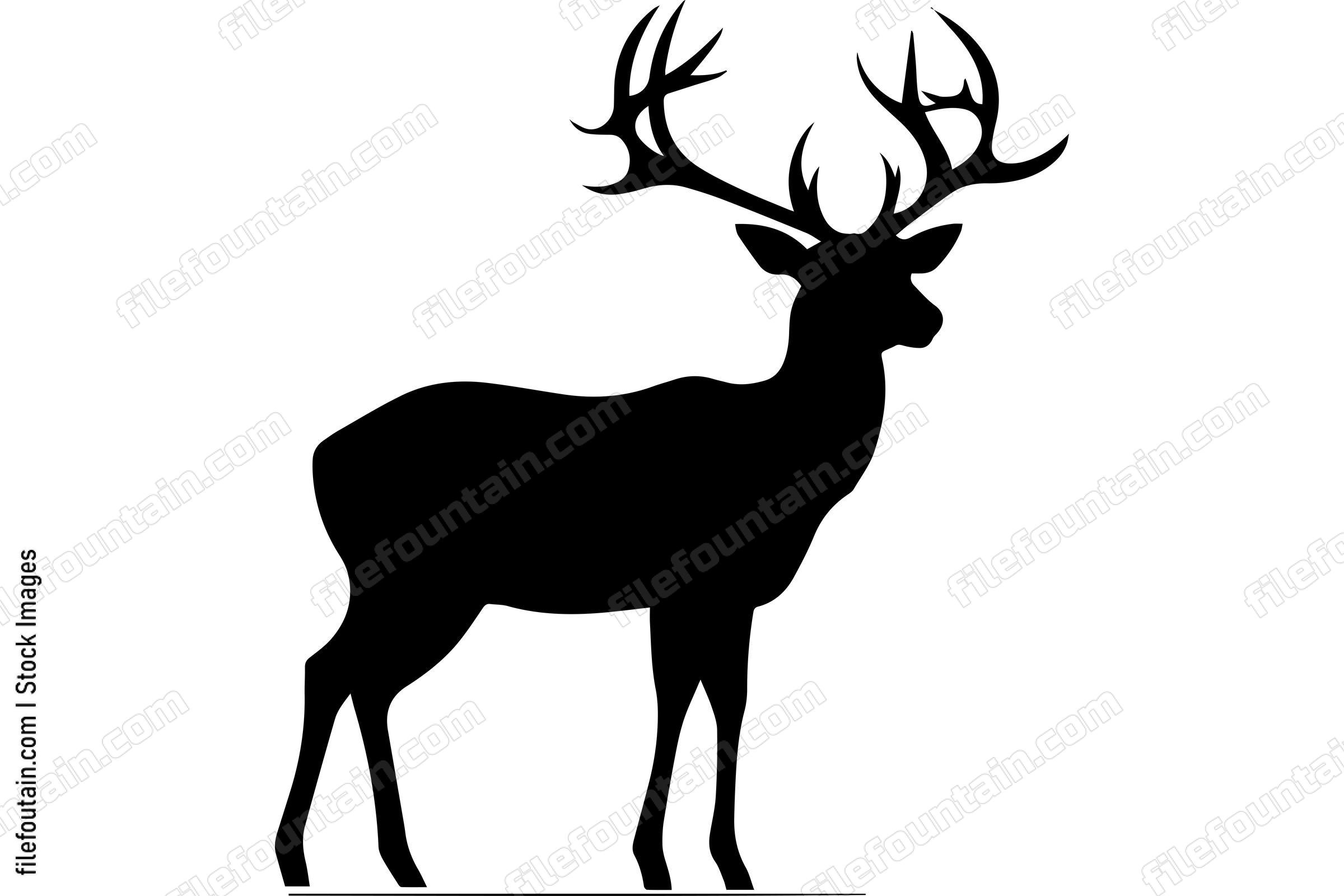 Deer