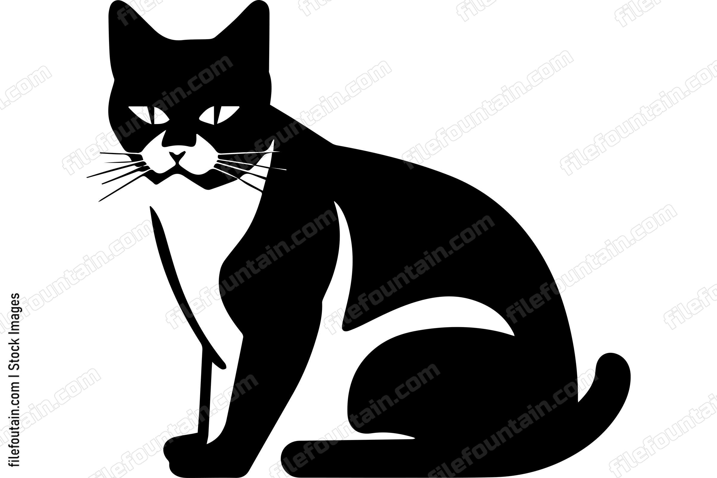 Domestic Cat