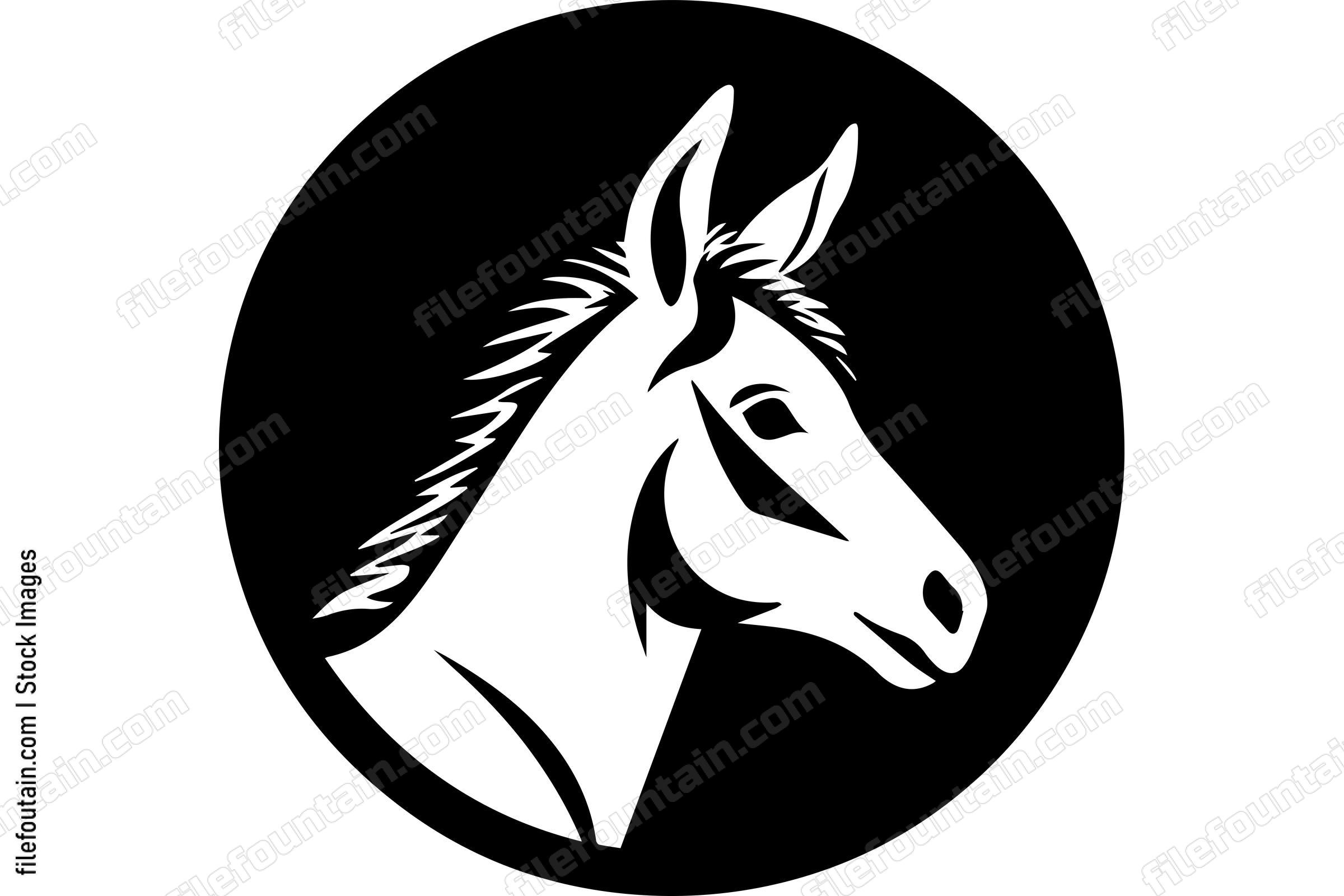 Donkey