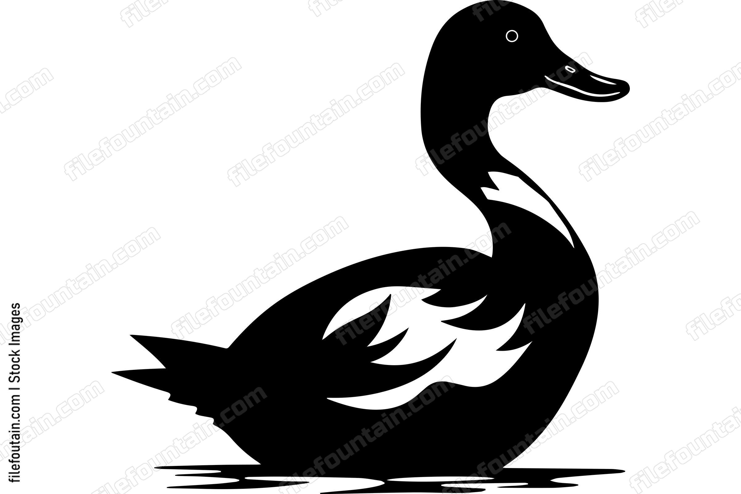 Duck