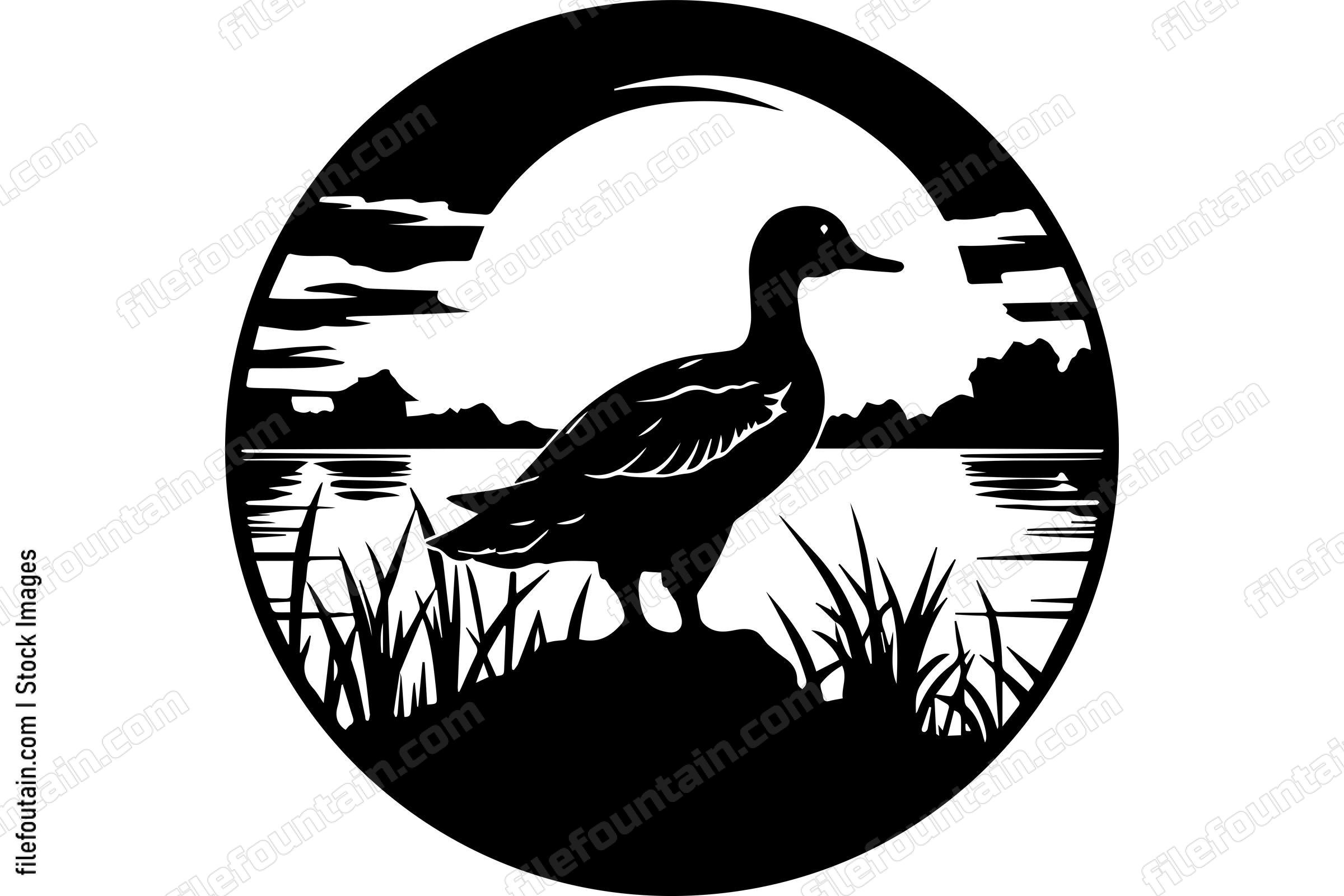Duck Wildlife
