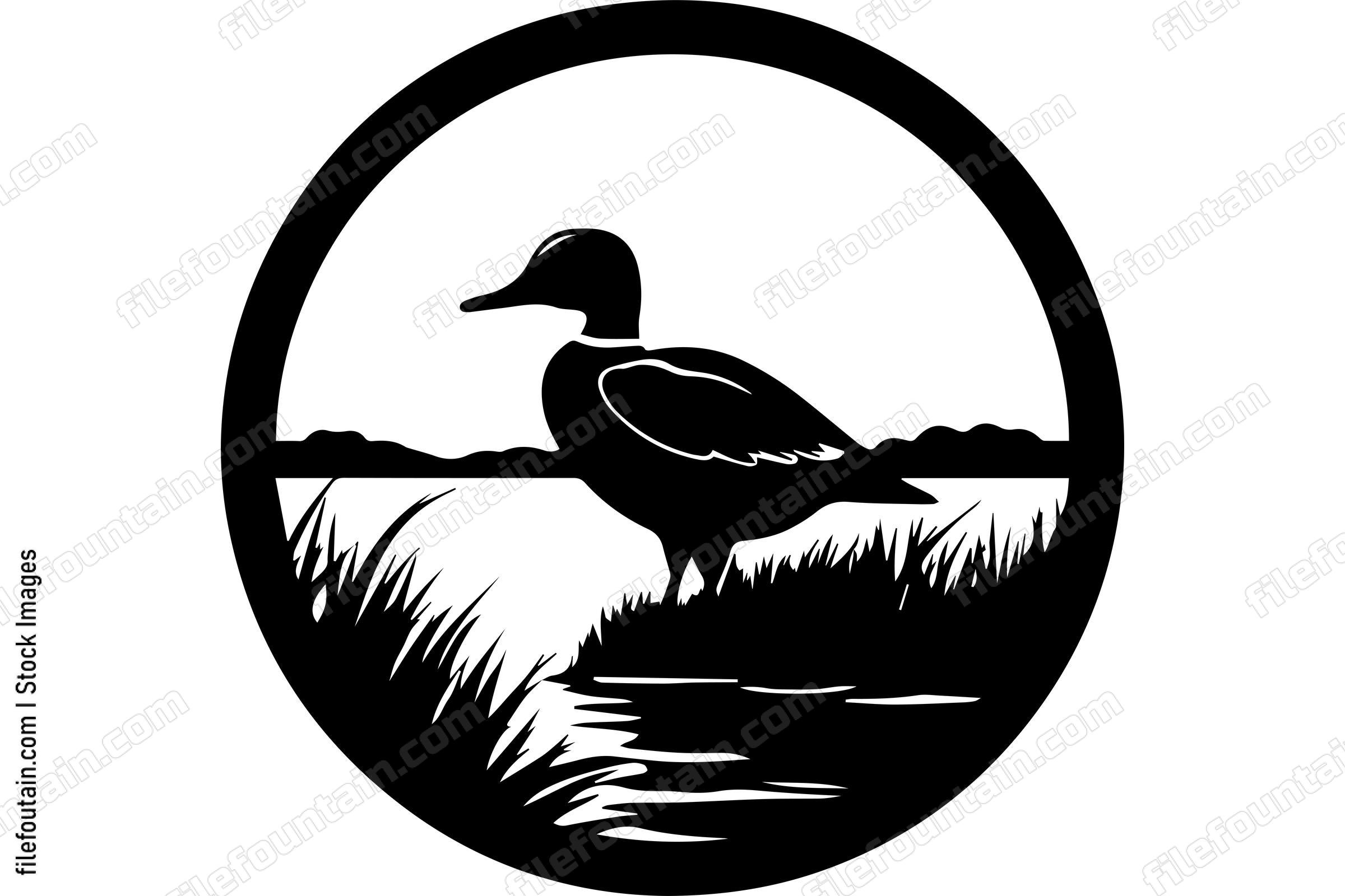 Duck Wildlife