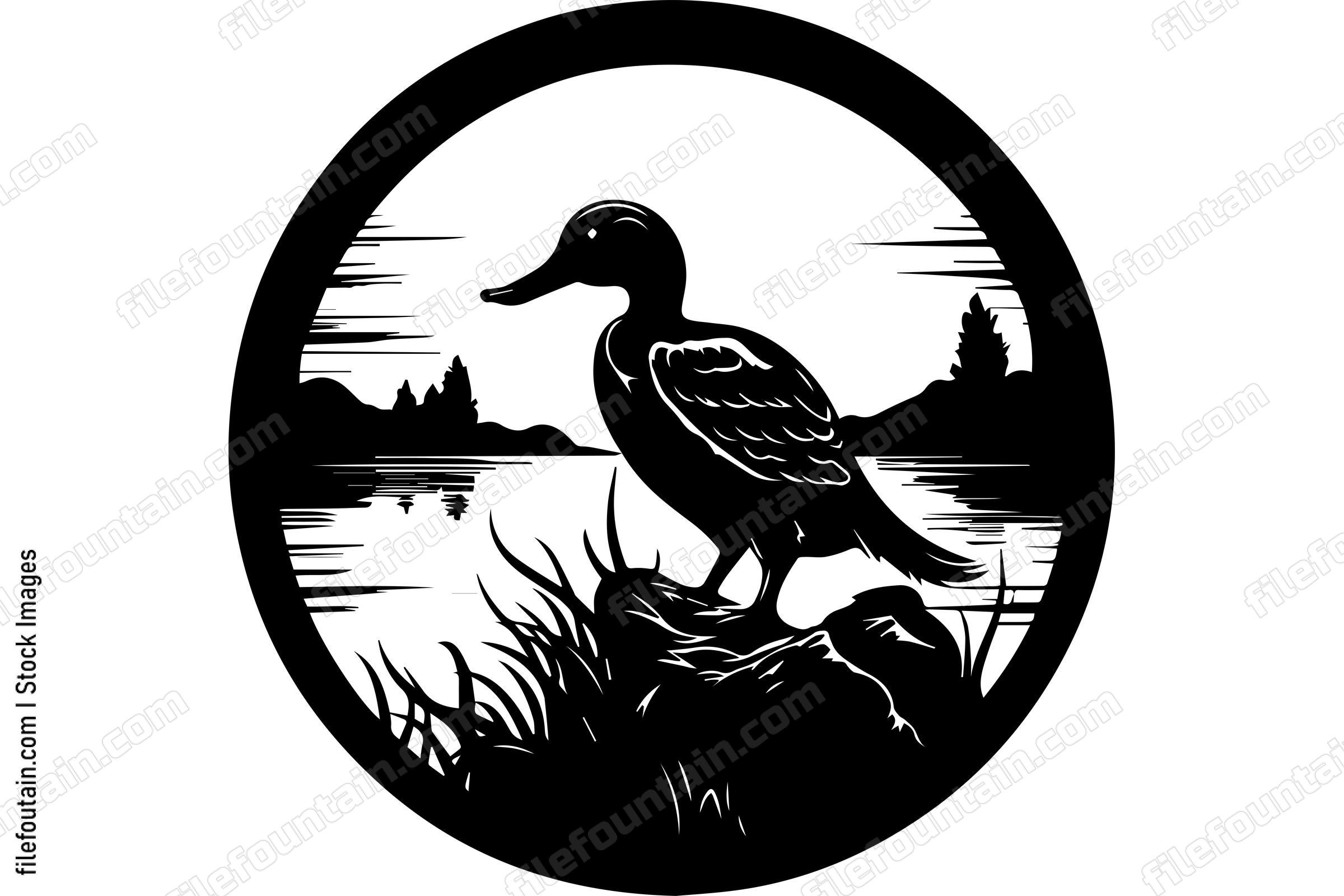 Duck Wildlife