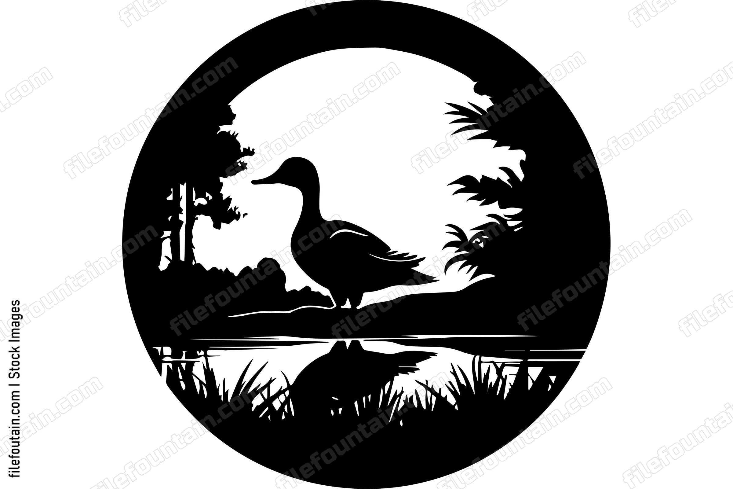 Duck Wildlife