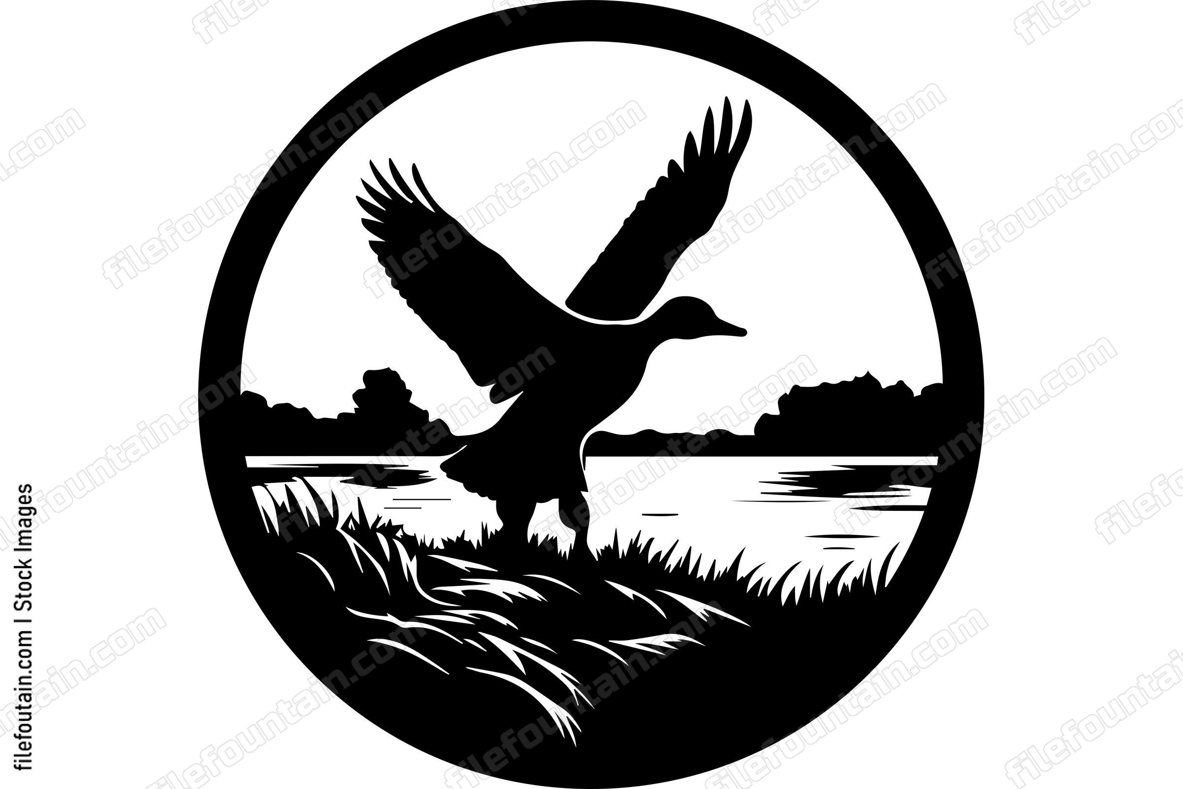 Duck Wildlife