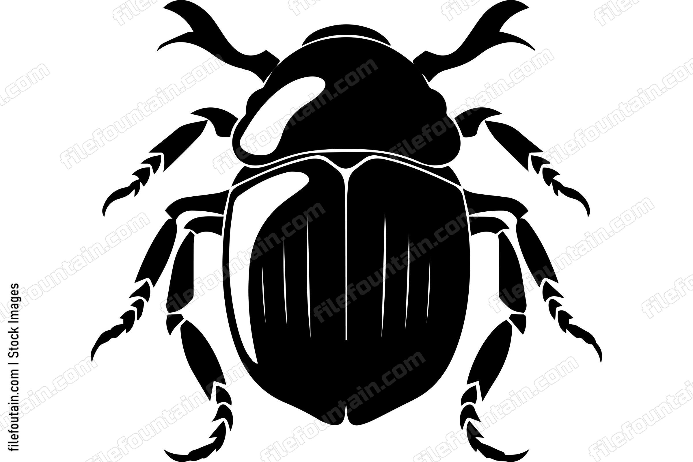 Dung Beetle