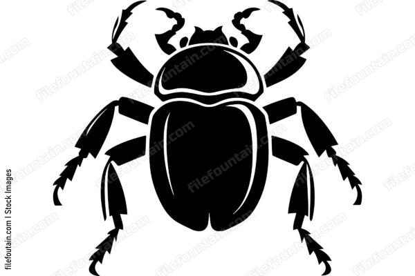 Dung Beetle