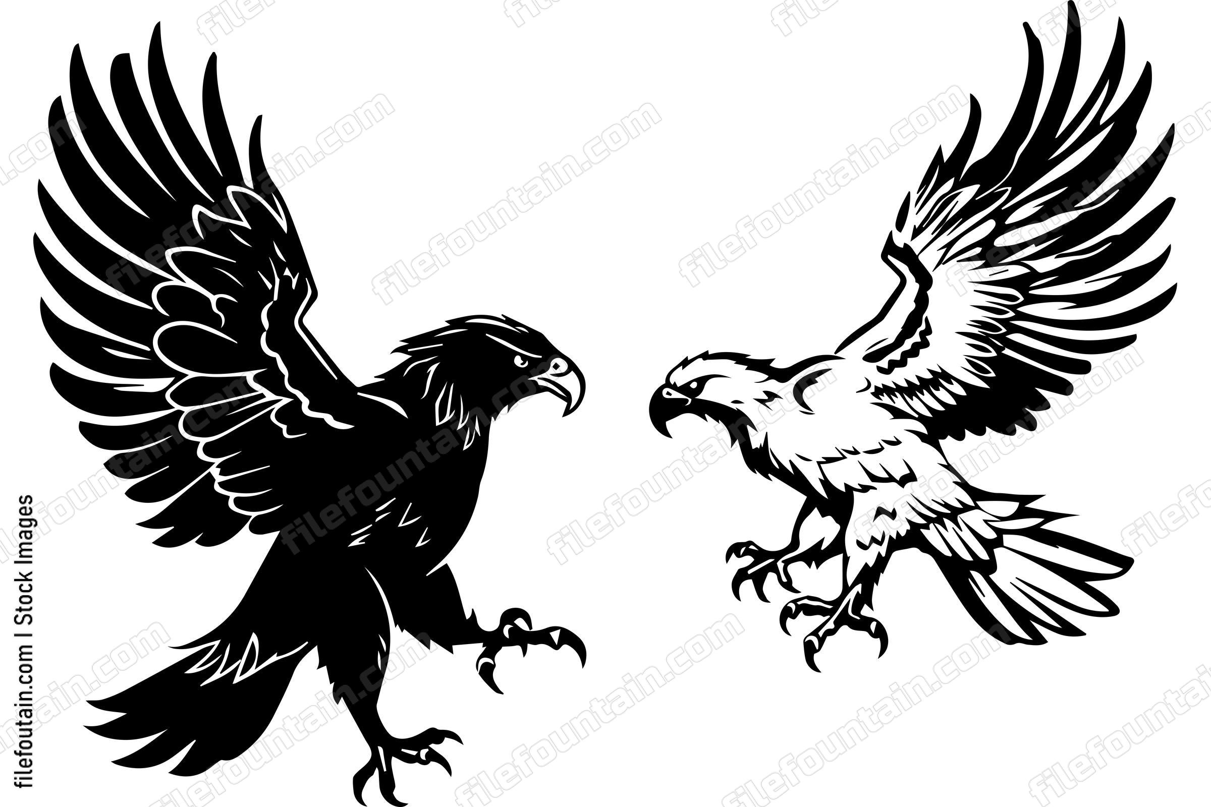 Eagle Vs Hawk