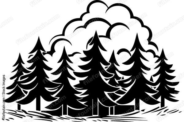 Forest Fire Wildfire