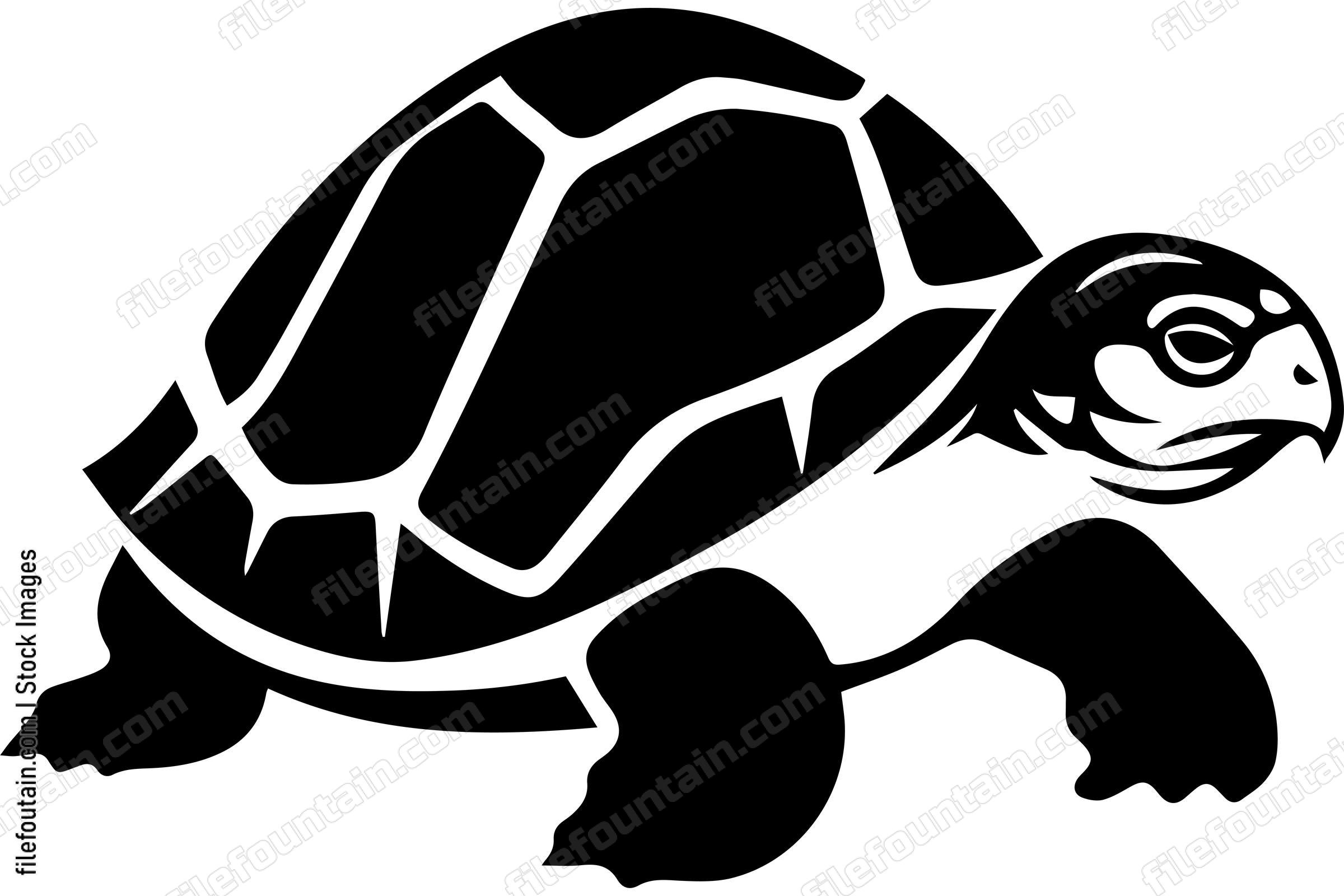 Galapagos Tortoise