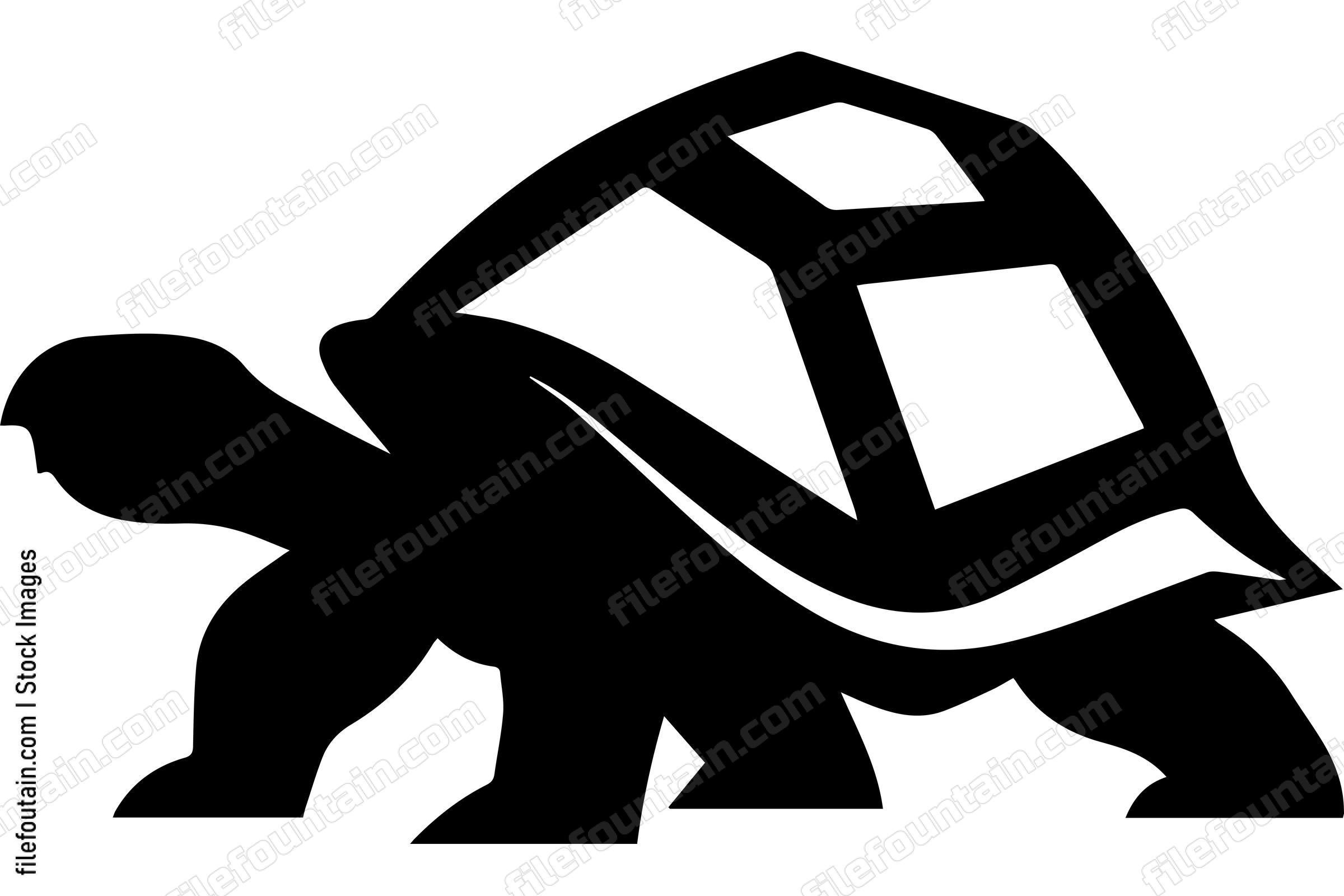 Galapagos Tortoise