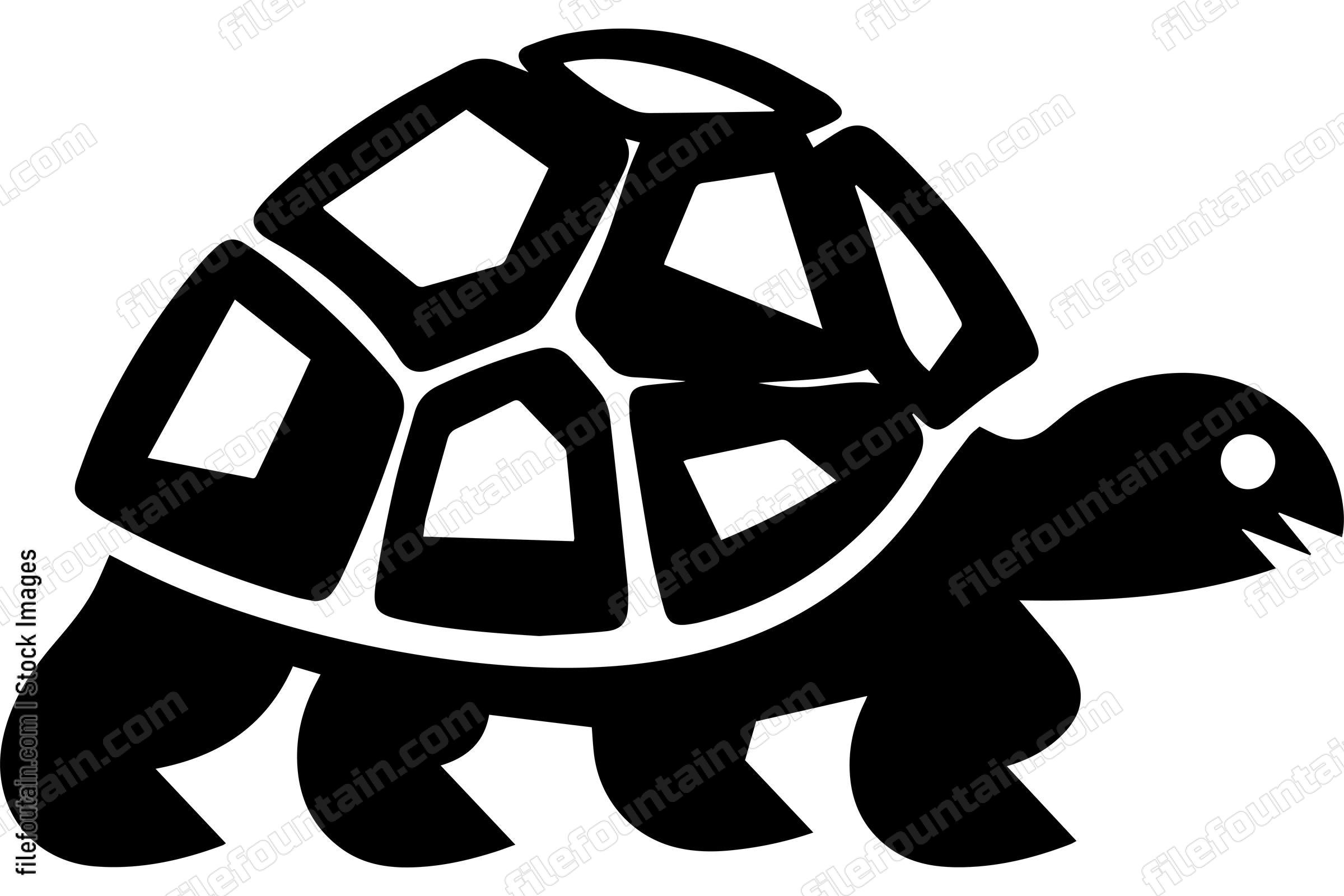 Galapagos Tortoise