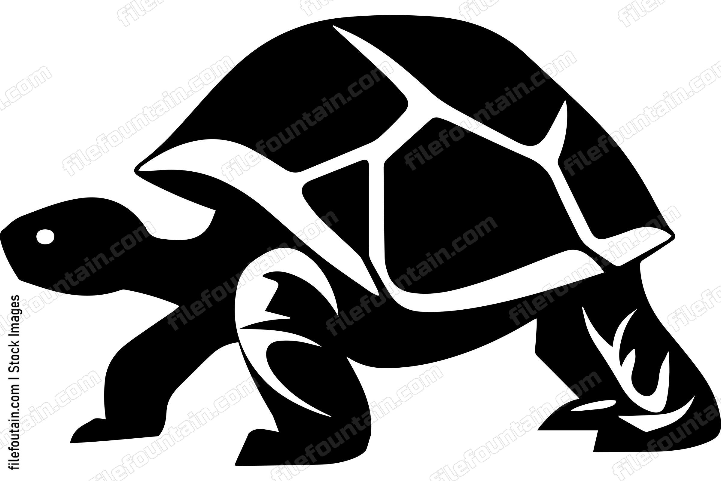 Galapagos Tortoise