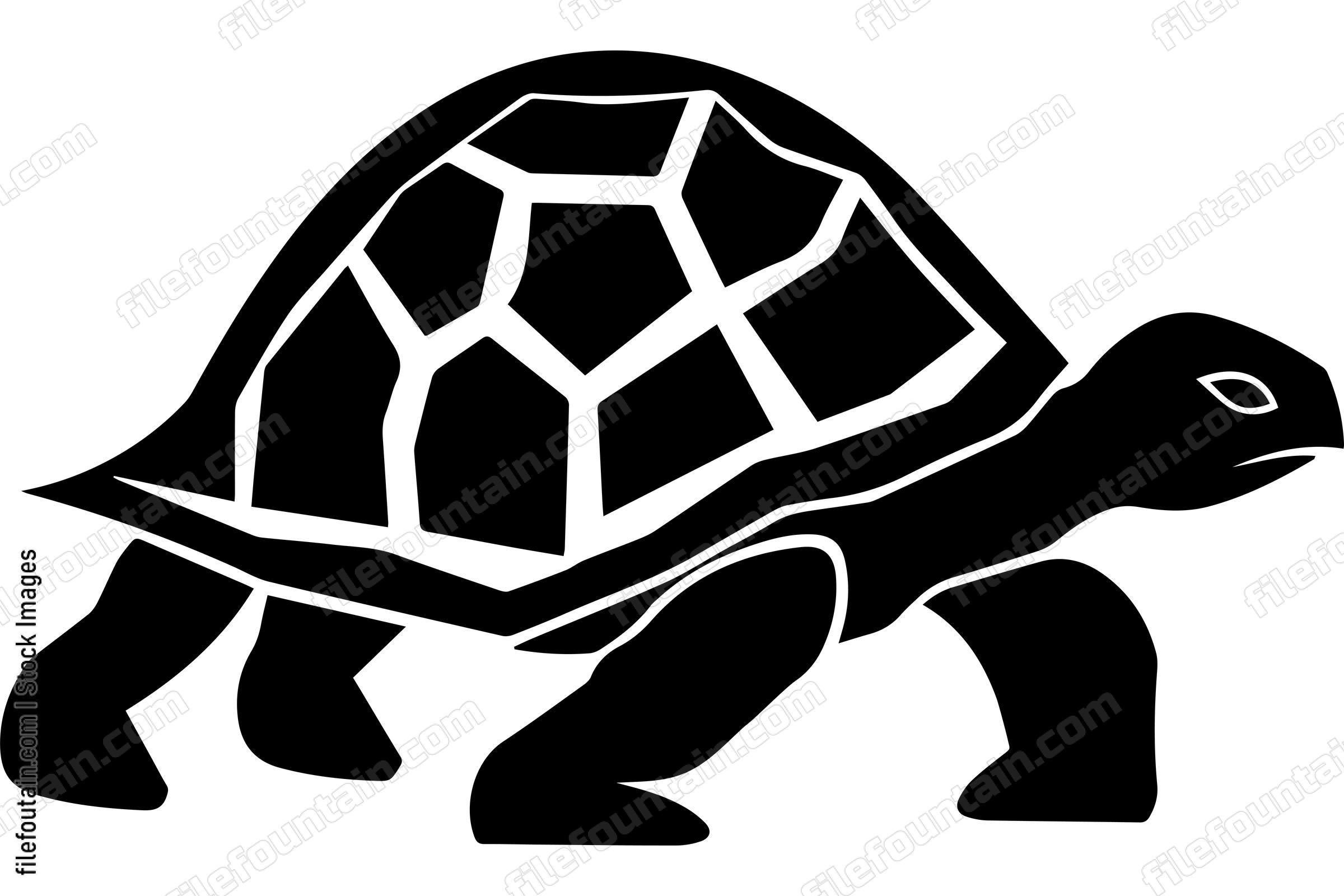 Galapagos Tortoise