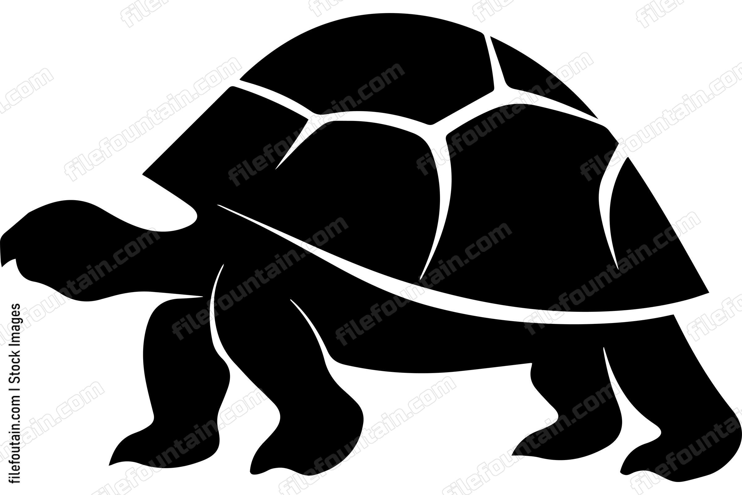 Galapagos Tortoise