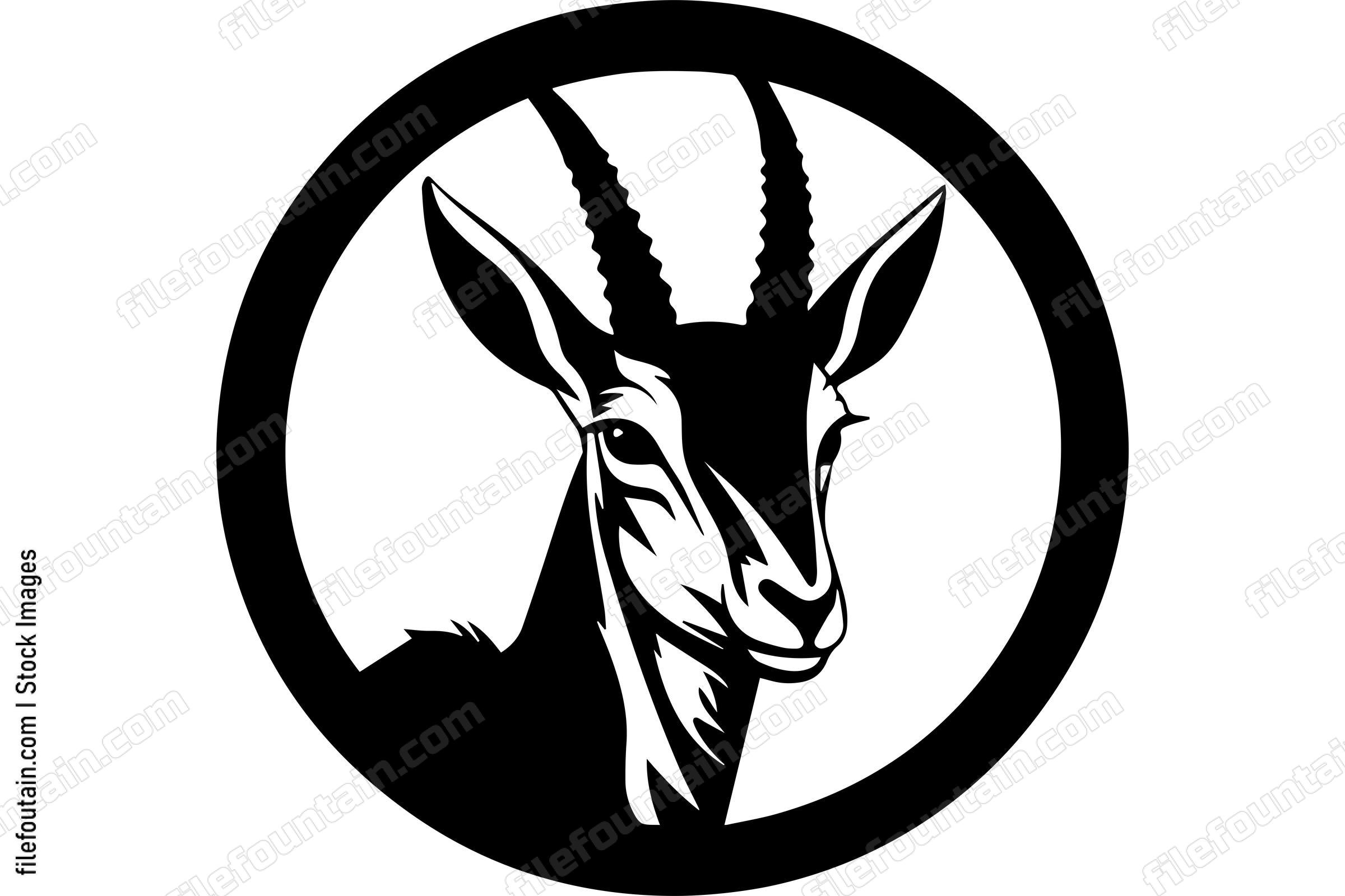 Gazelle