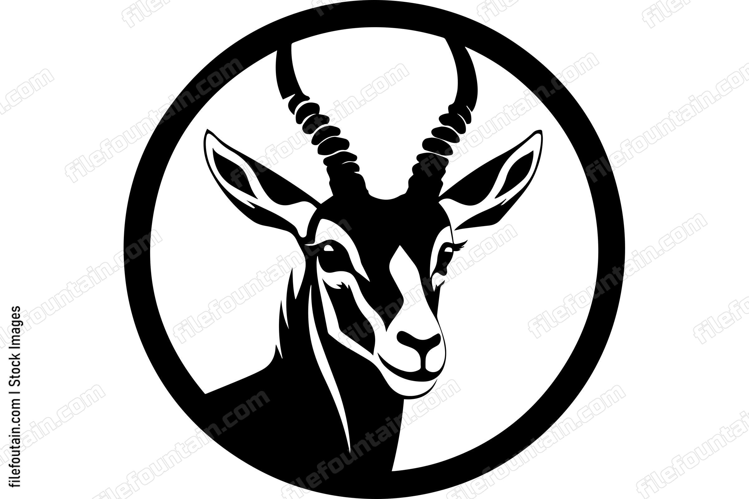 Gazelle