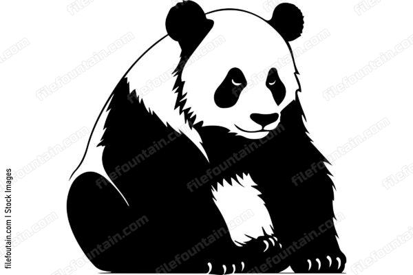 Giant Panda