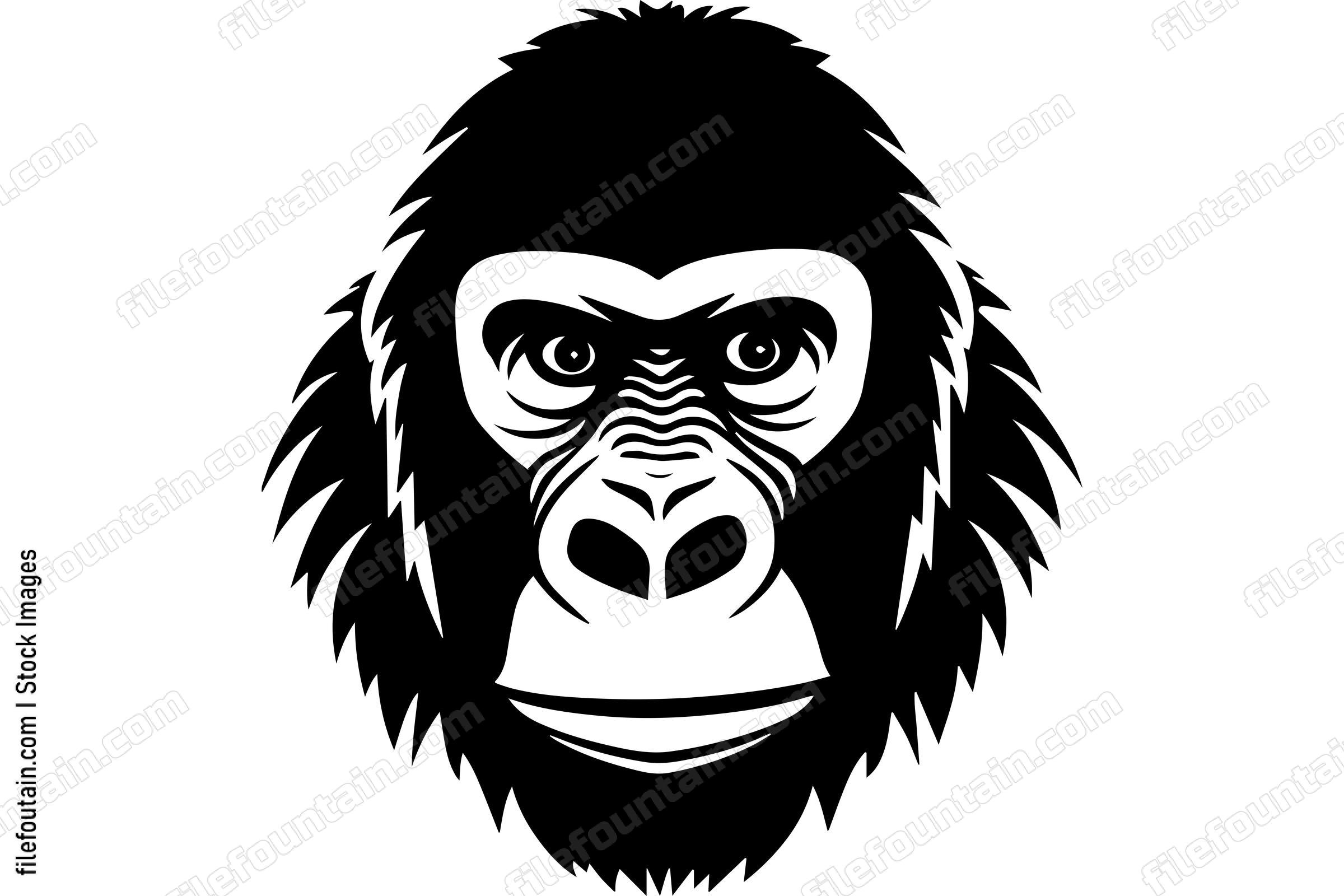 Gorilla
