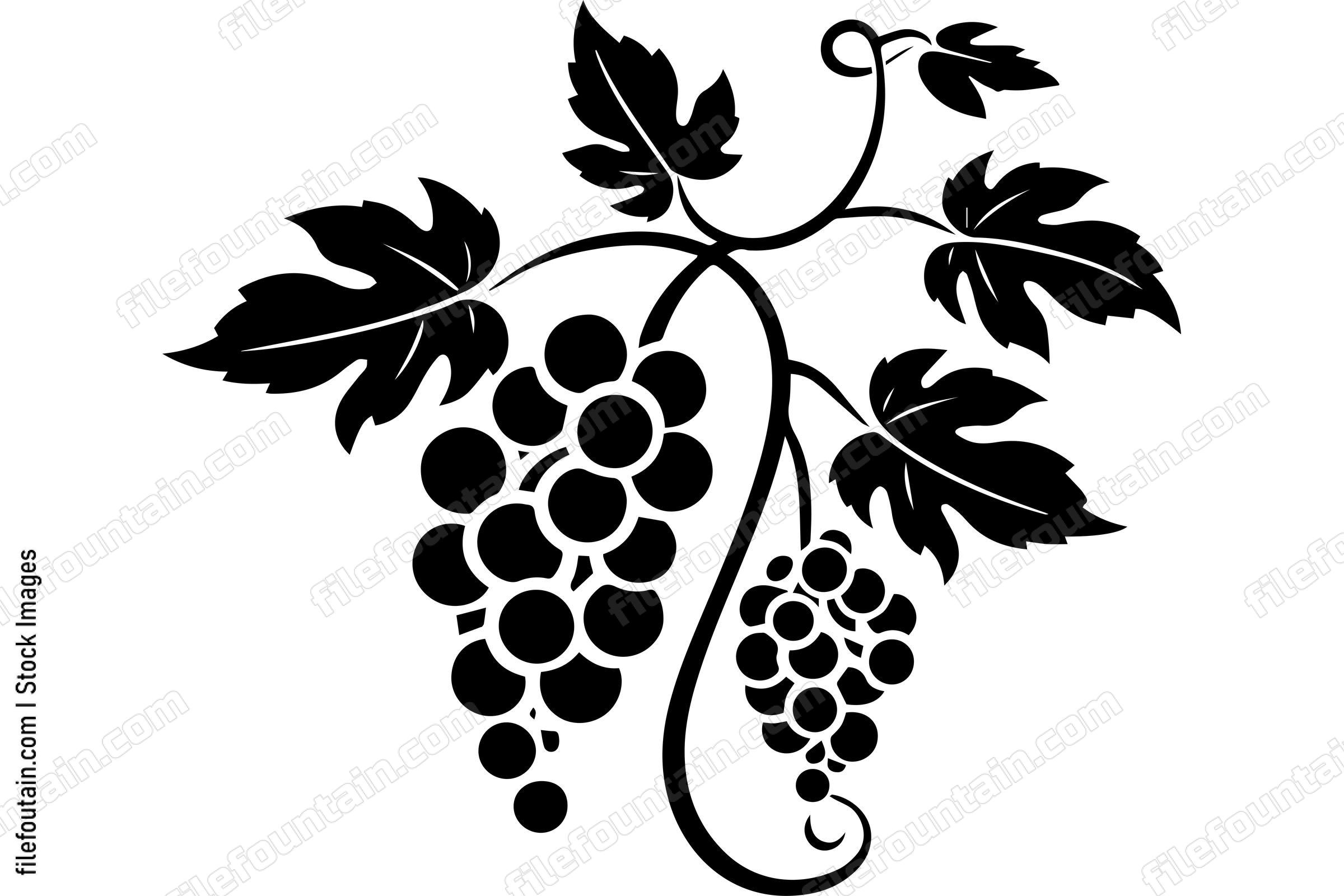 Grape Vine