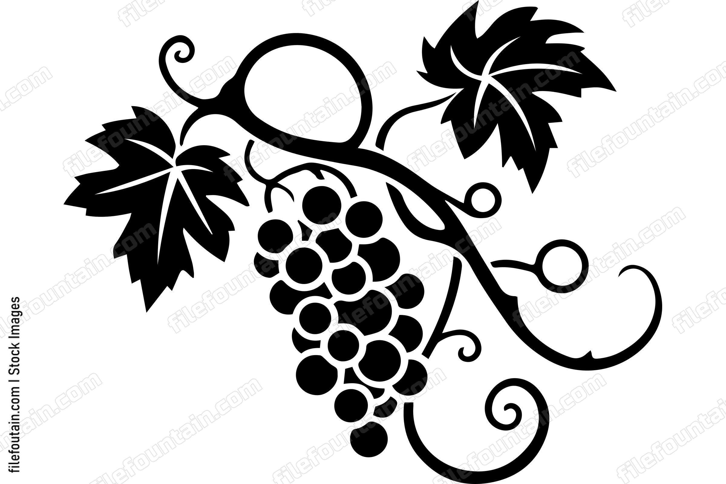 Grape Vine