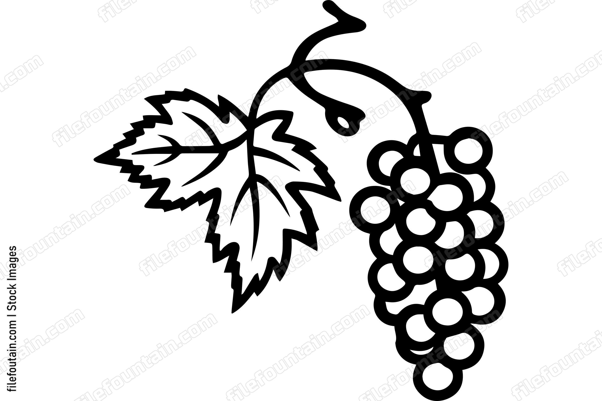 Grape Vine