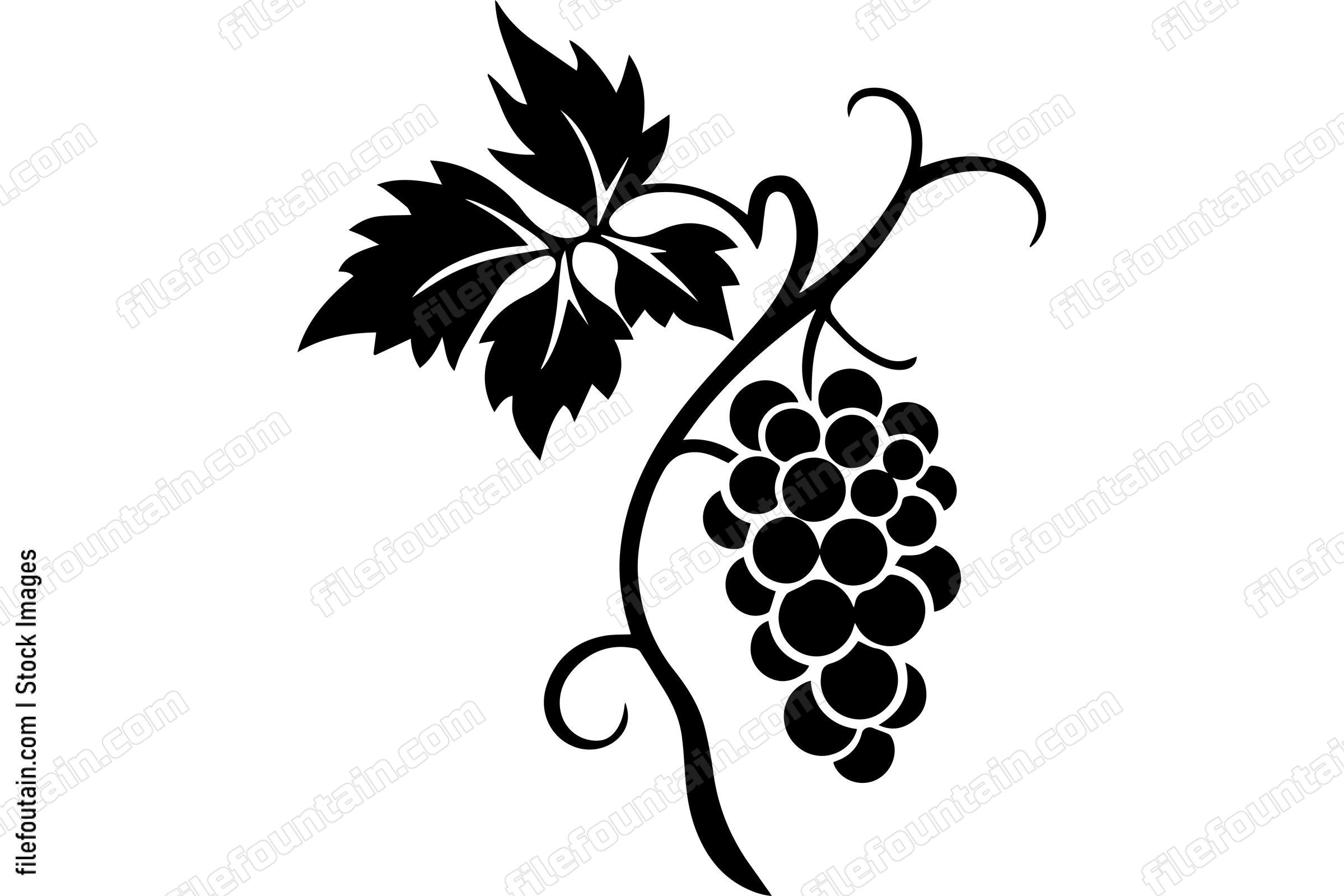 Grape Vine