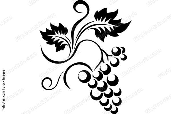 Grape Vine