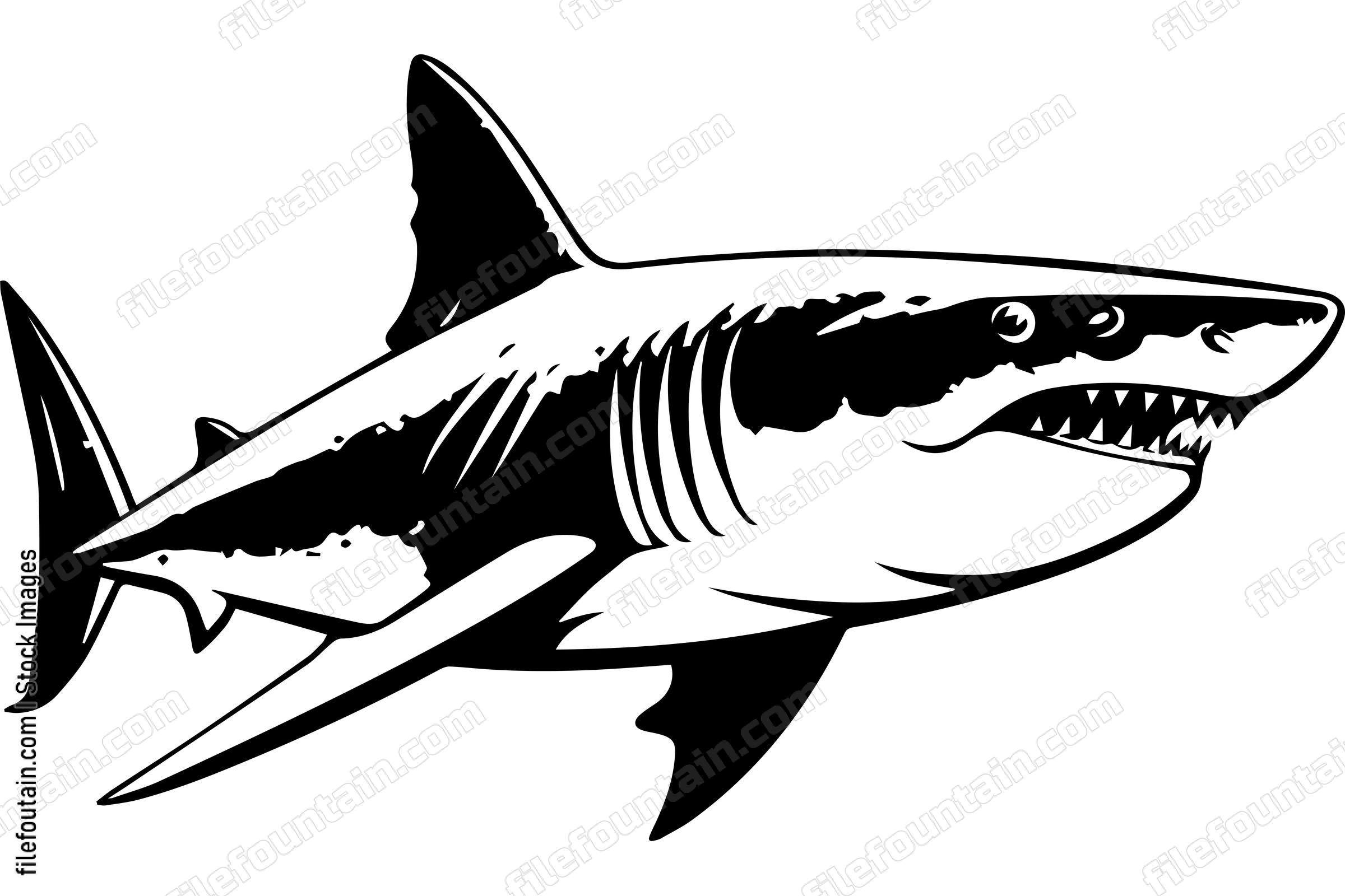 Great White Shark