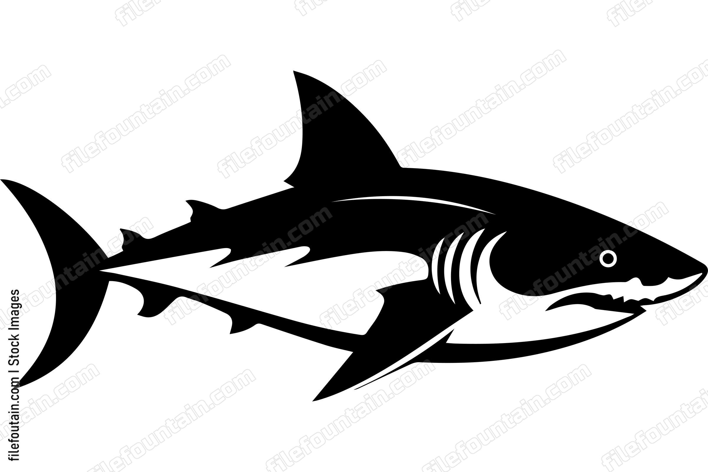 Great White Shark