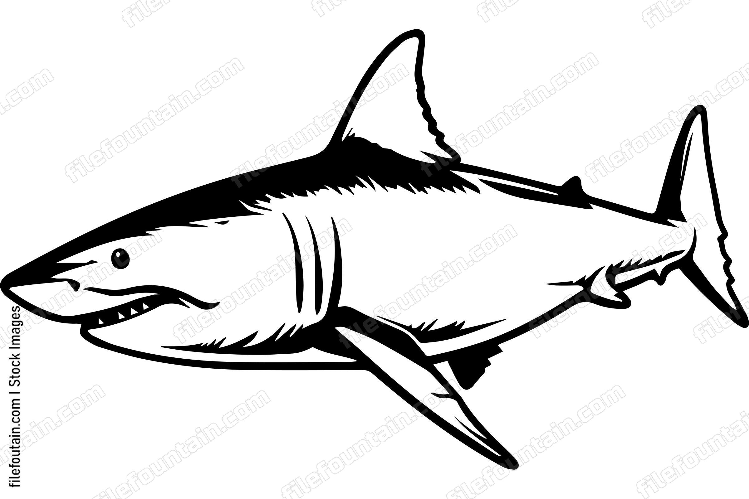 Great White Shark