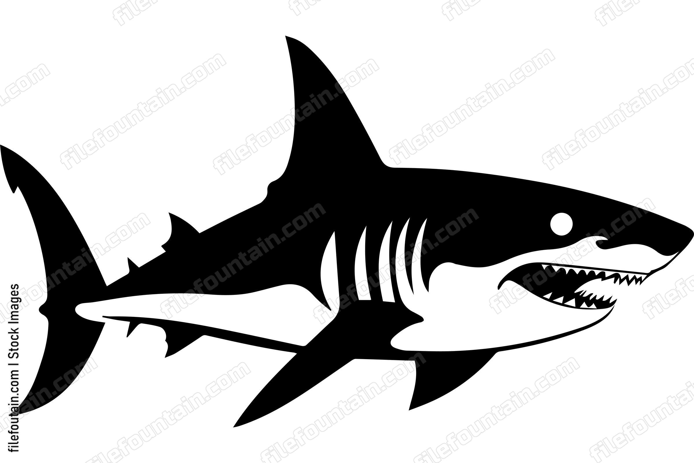Great White Shark