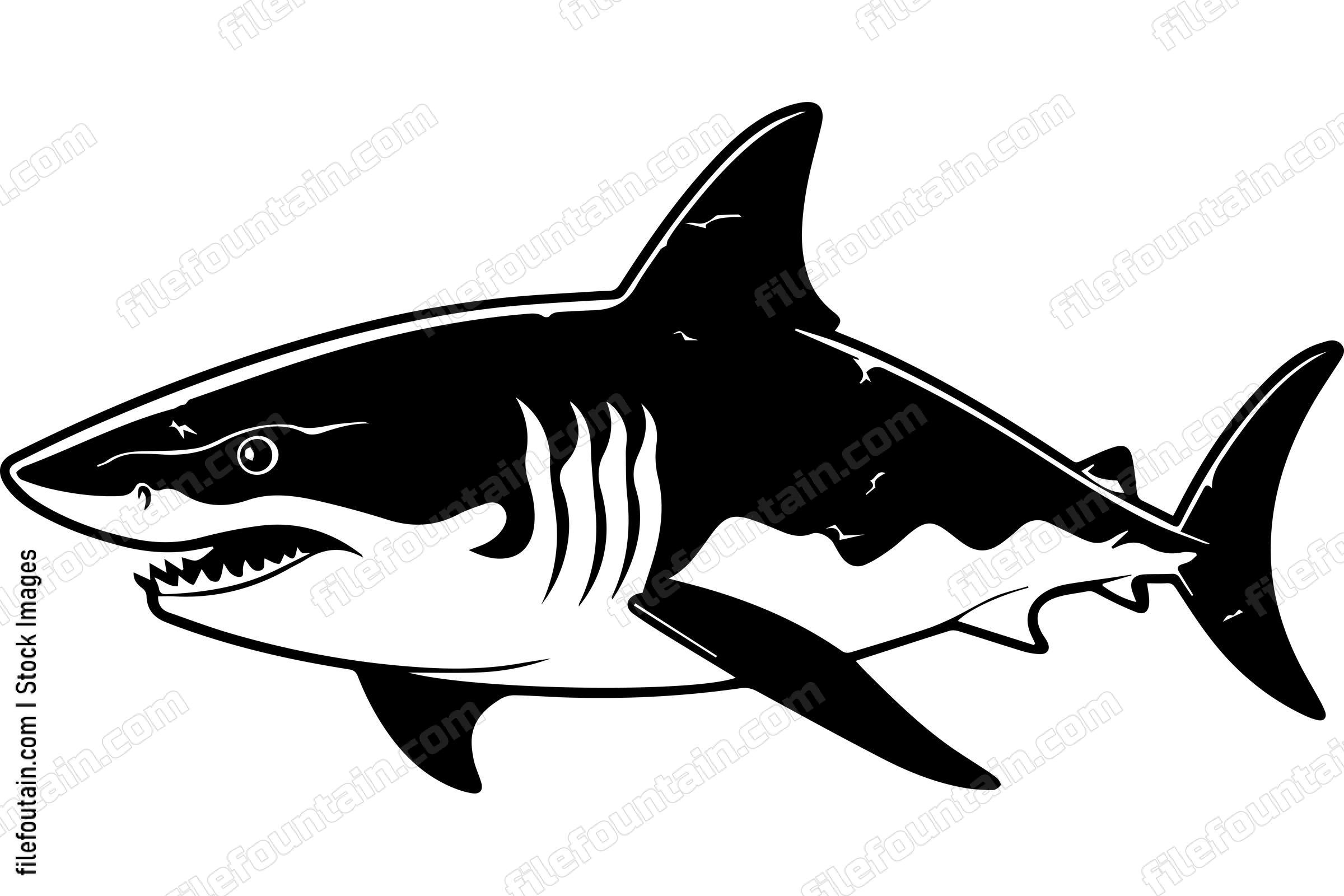 Great White Shark