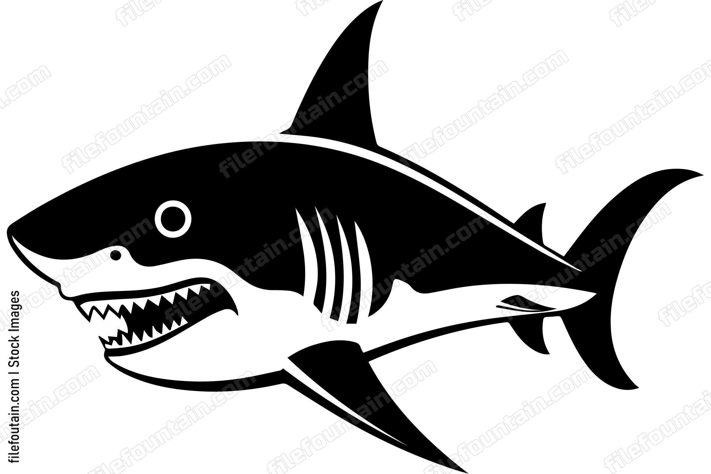 Great White Shark