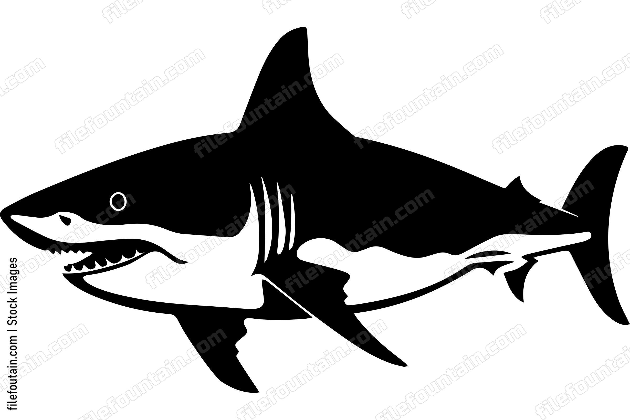 Great White Shark