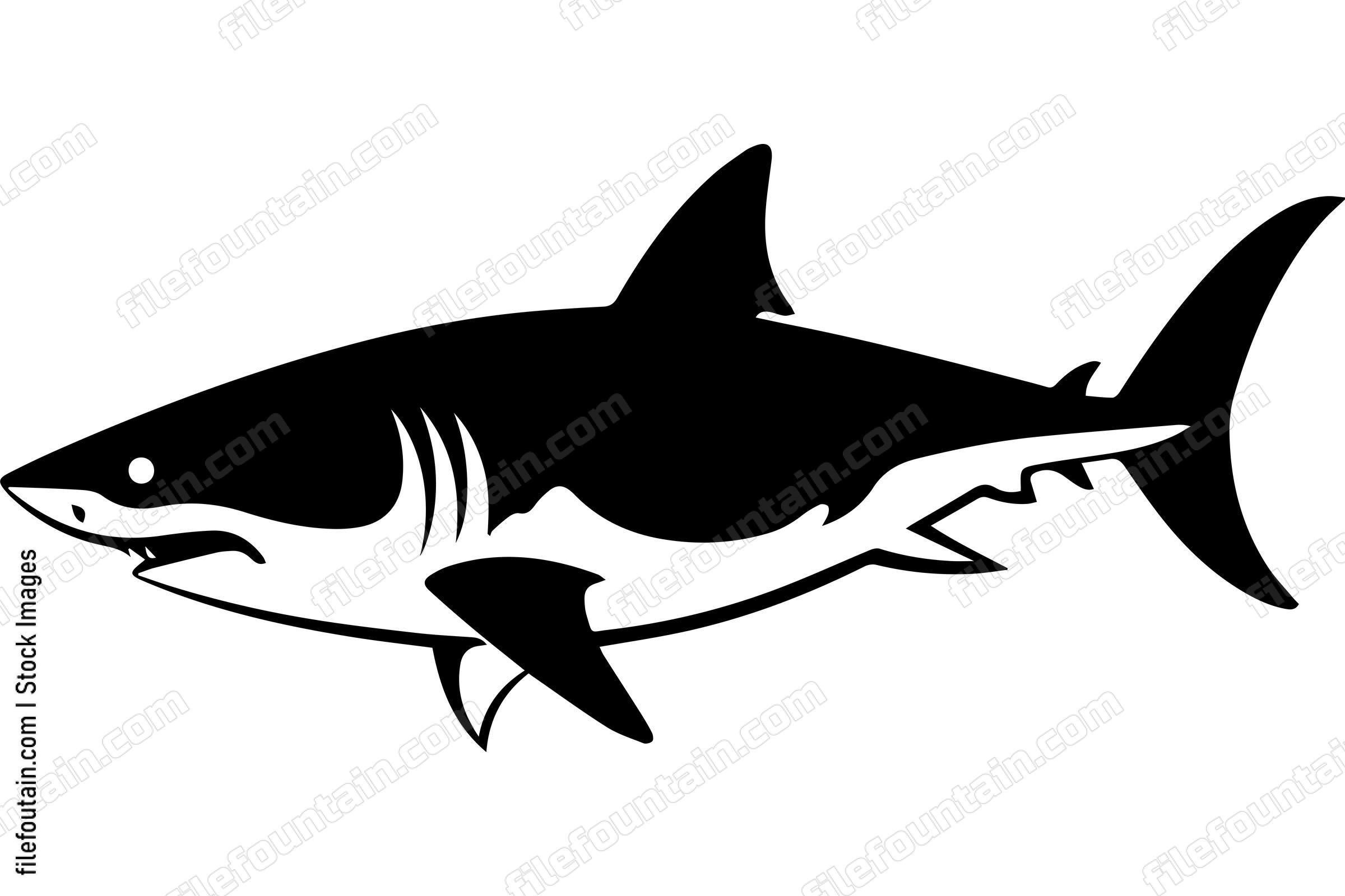 Great White Shark