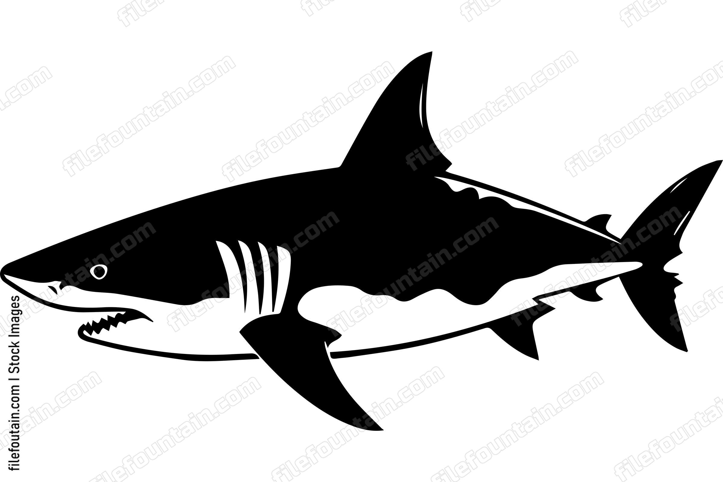 Great White Shark