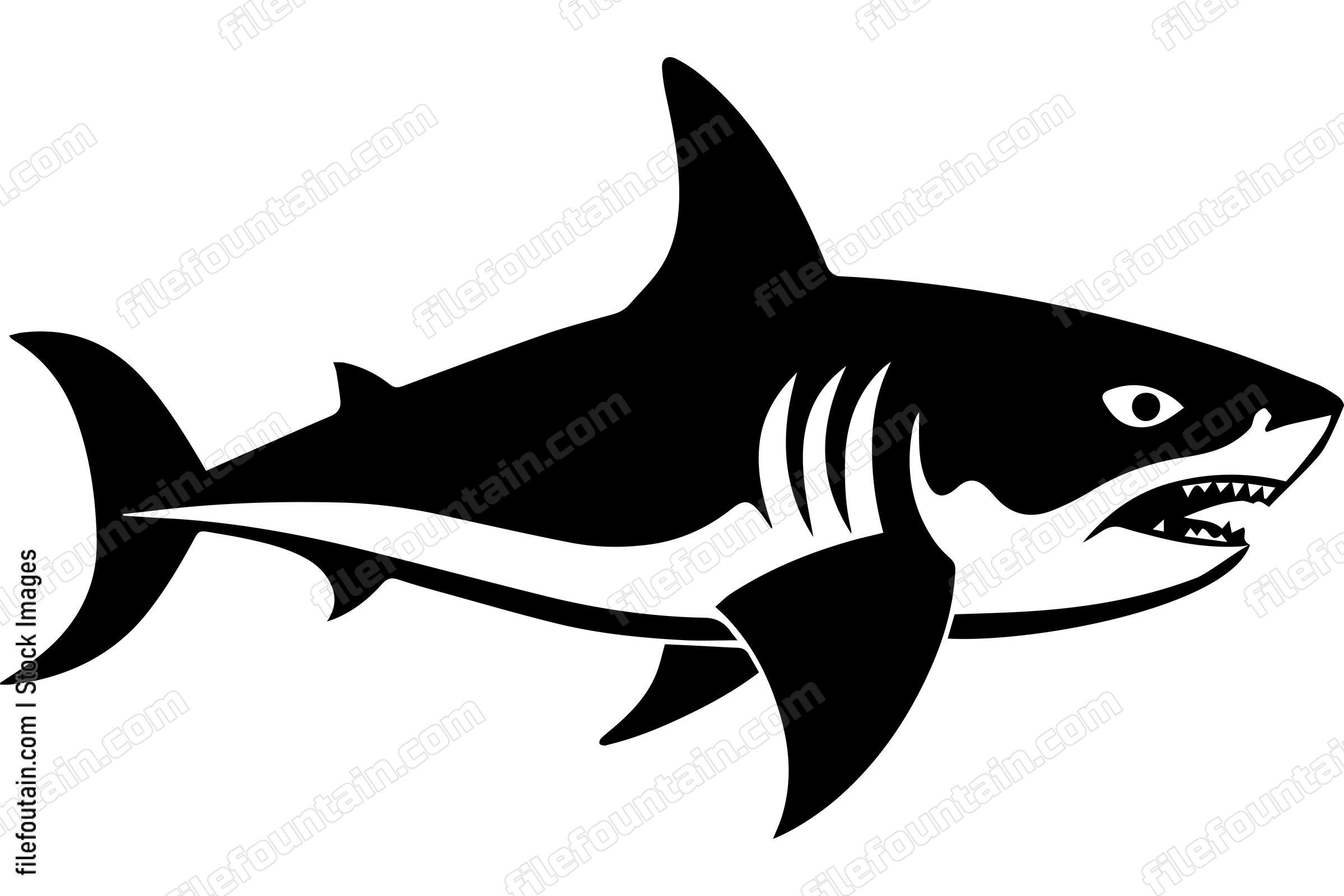 Great White Shark
