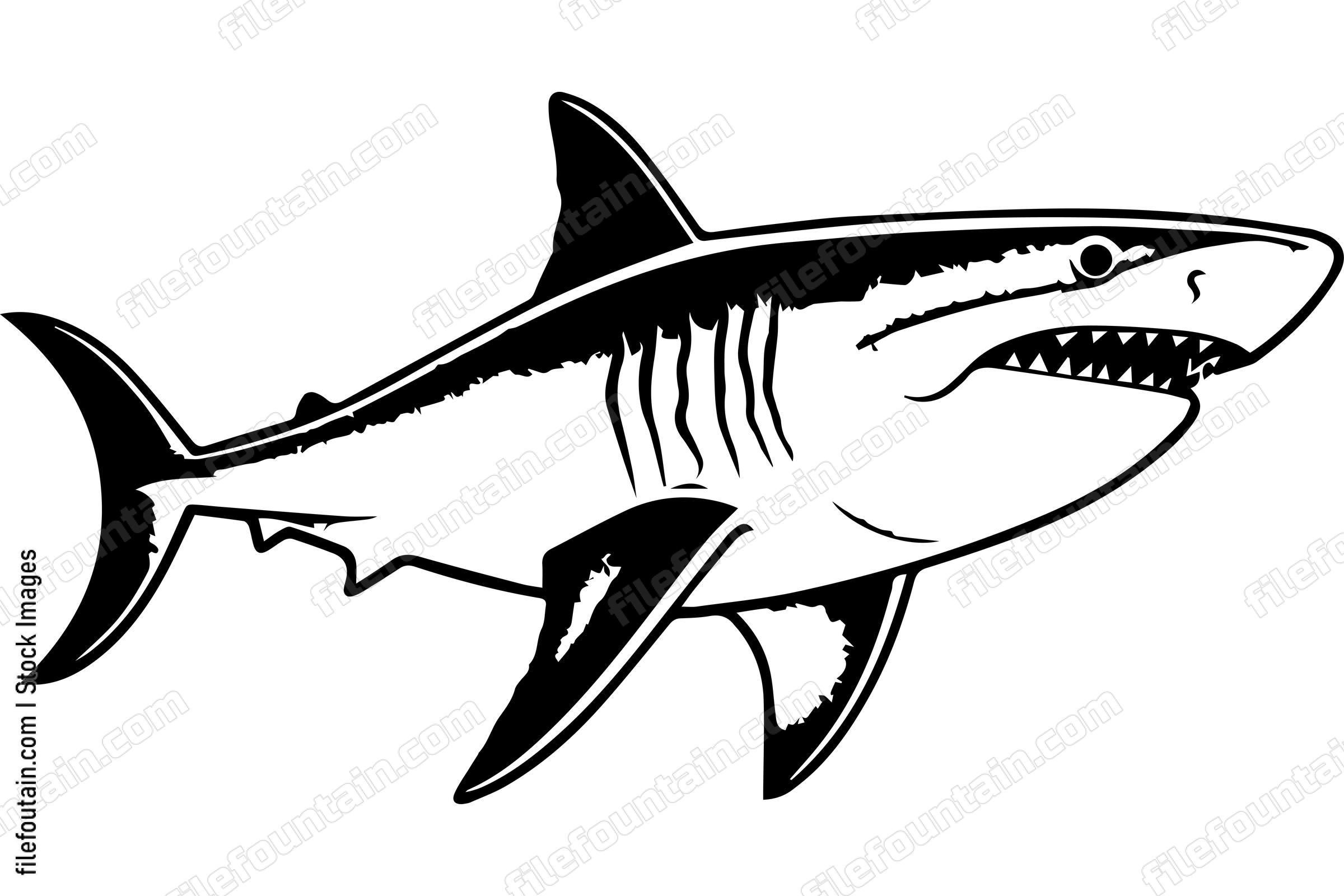 Great White Shark
