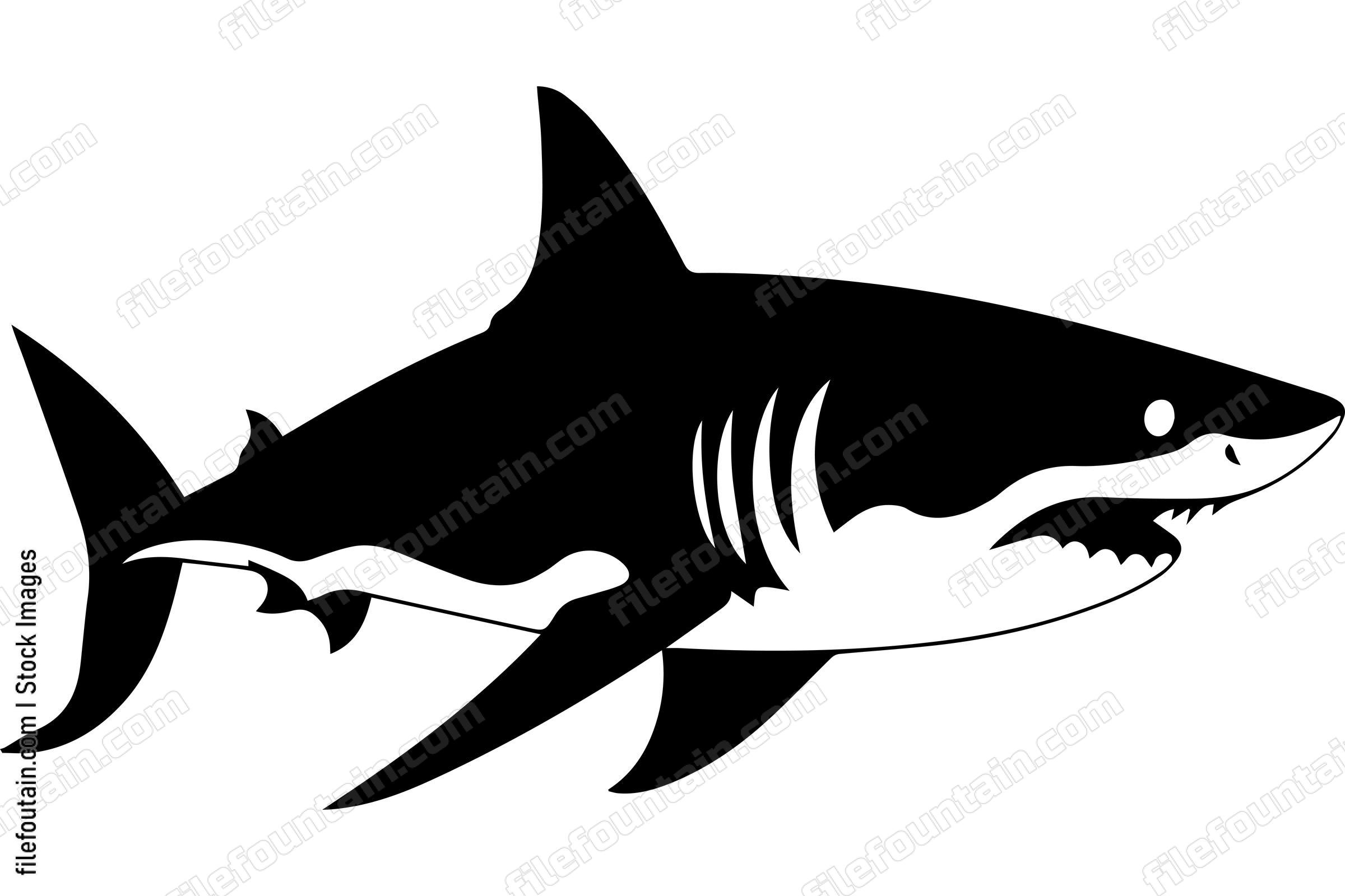 Great White Shark