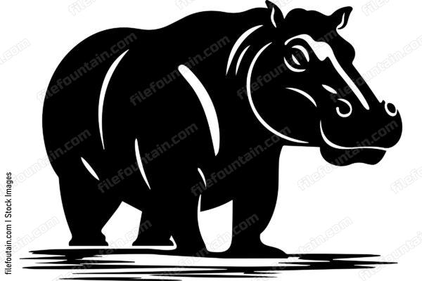 Hippopotamus