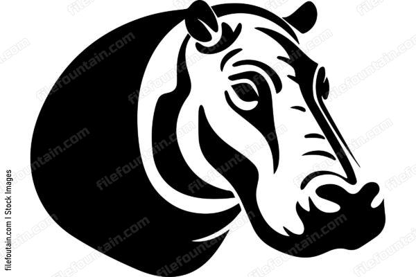Hippopotamus