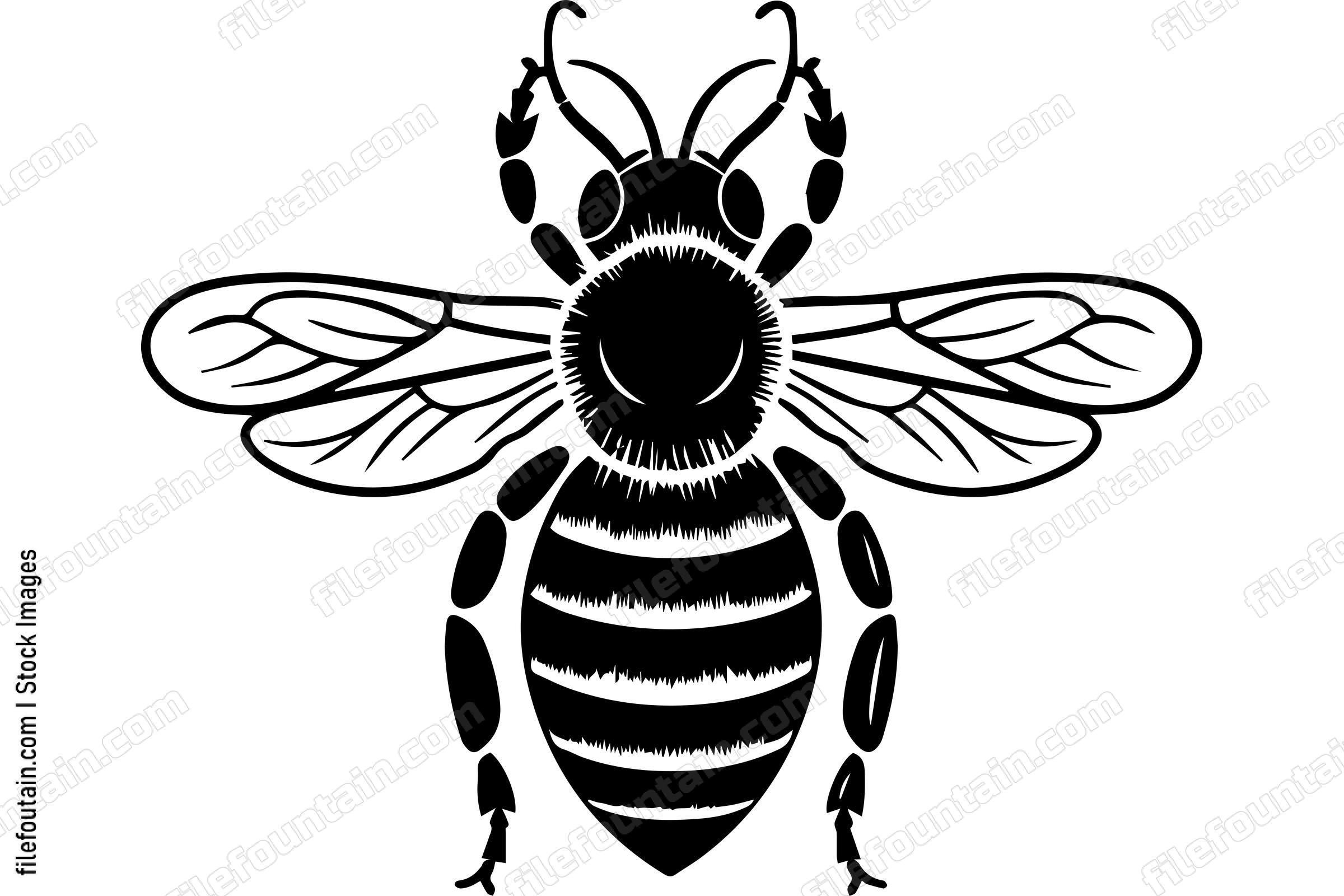Honeybee