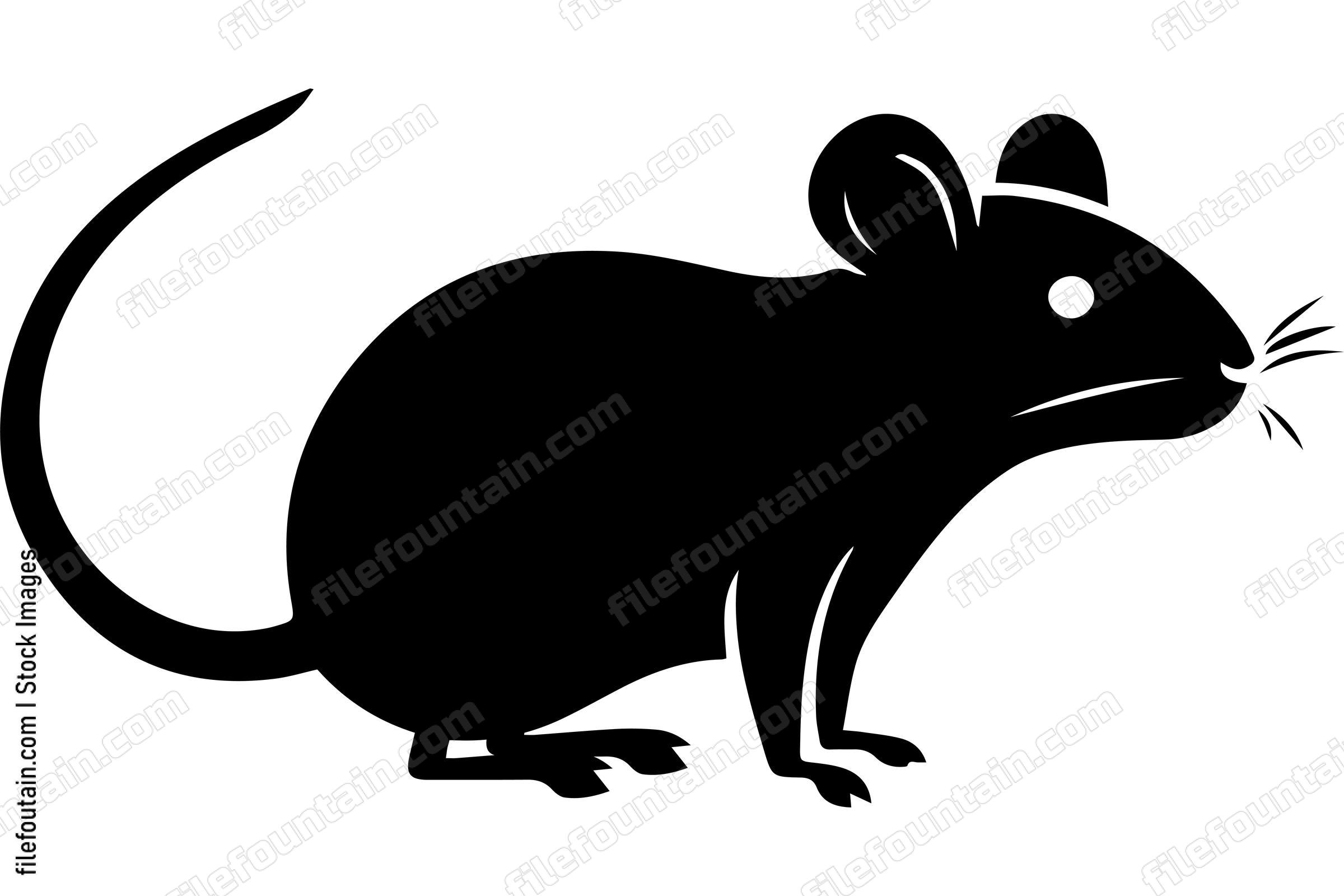 House Mouse