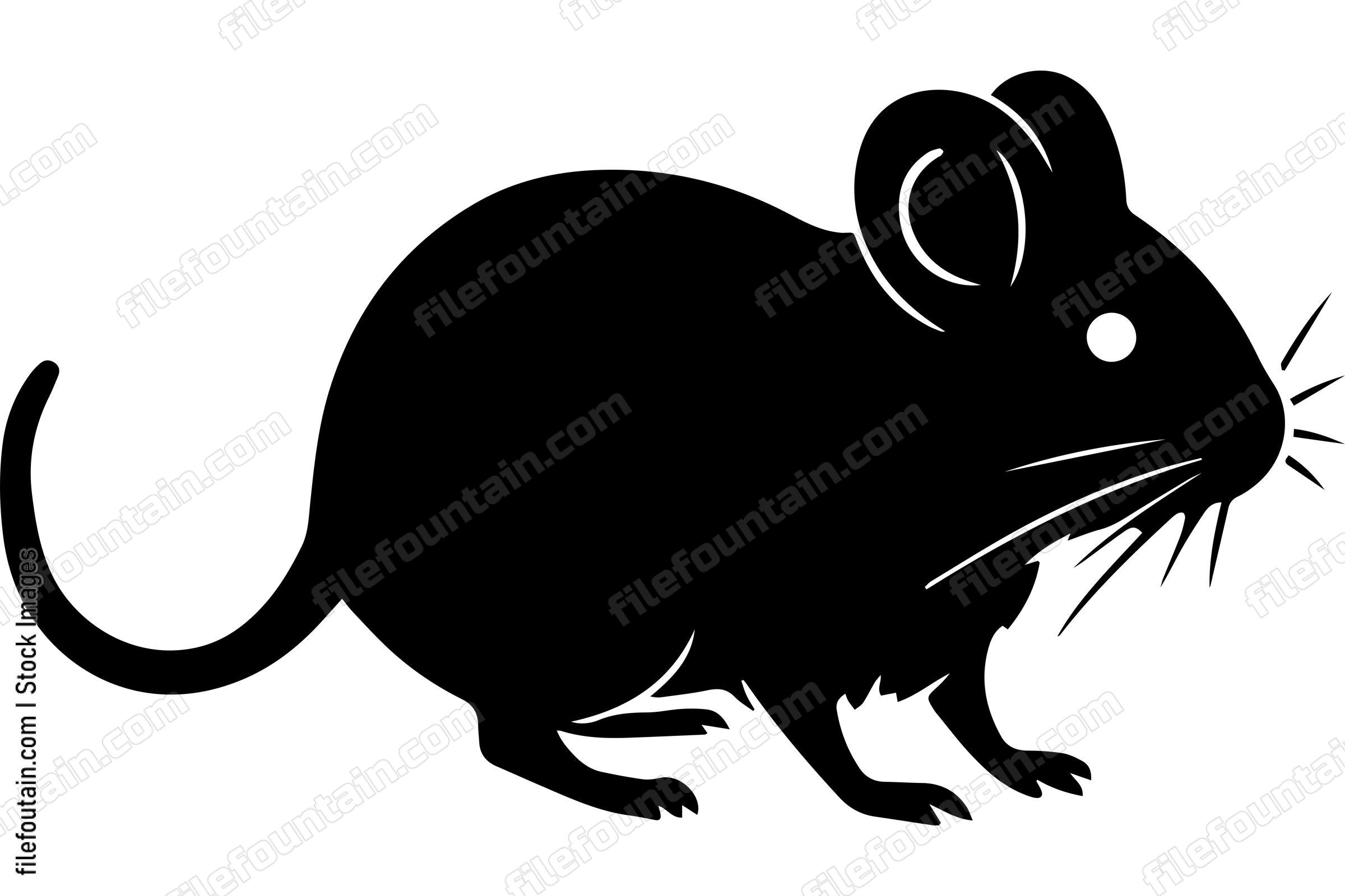 House Mouse