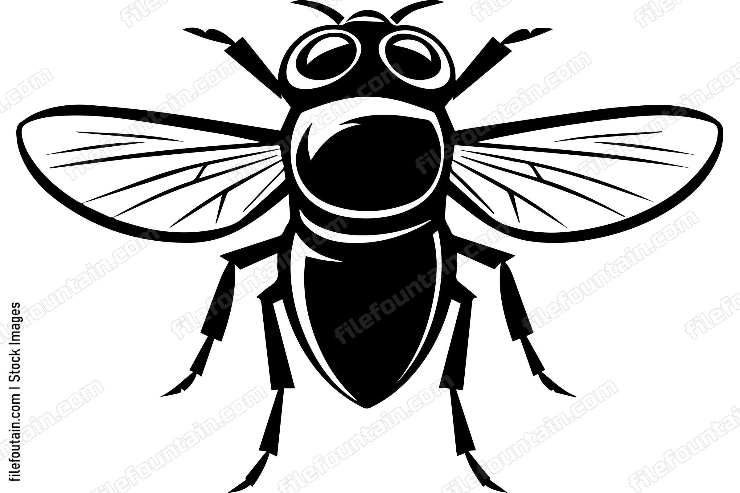 Housefly